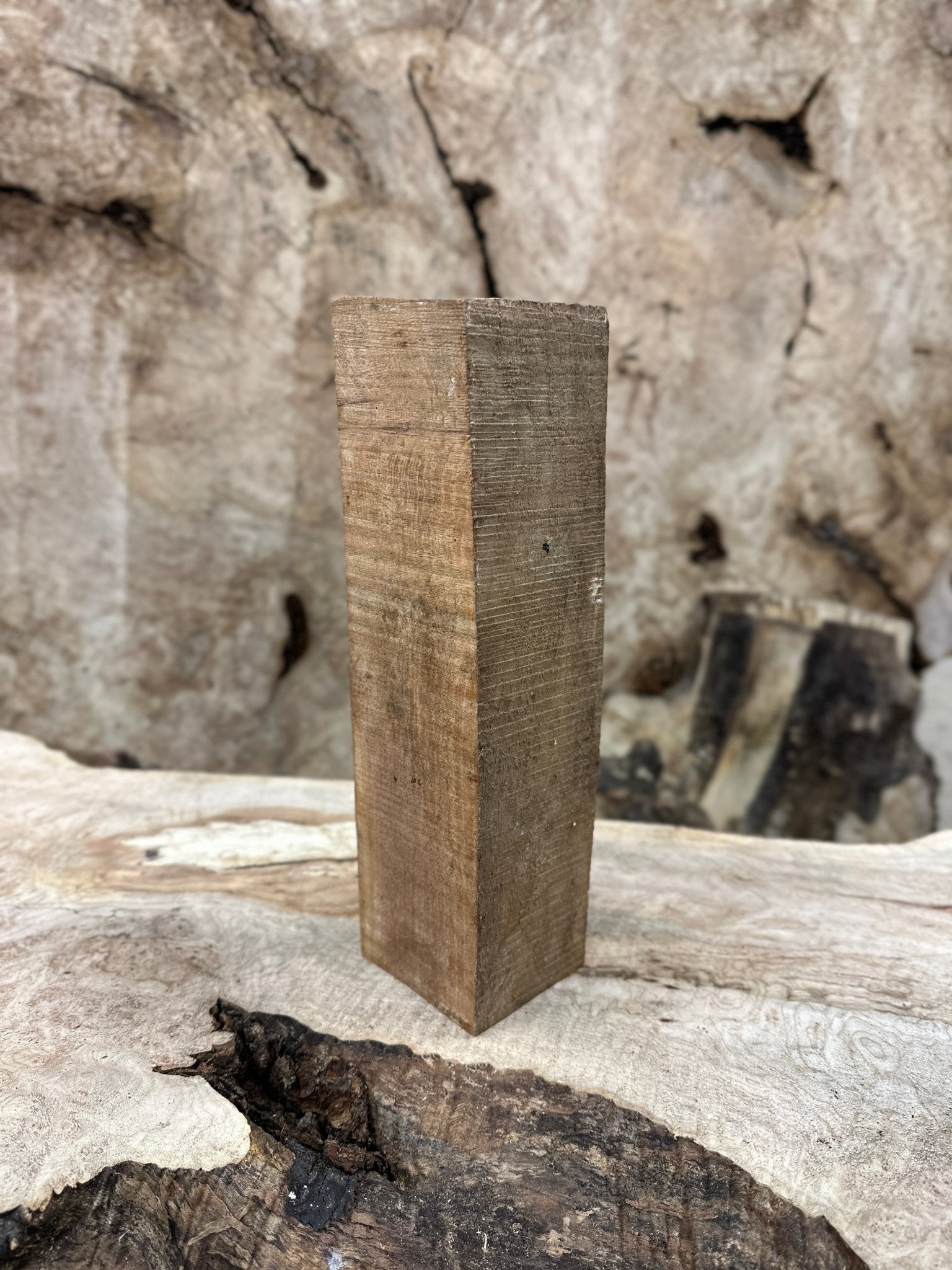 Elm Blank | Elm | Hamilton Lee Supply
