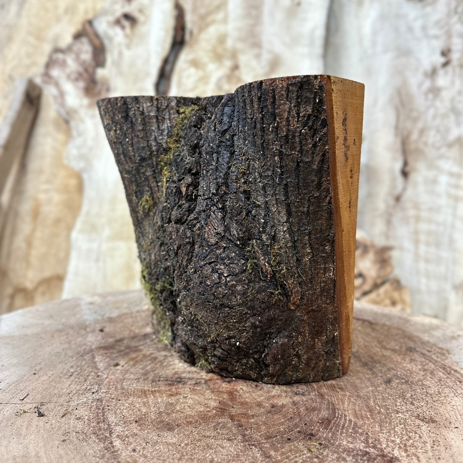 Elm Blank | Elm | Hamilton Lee Supply