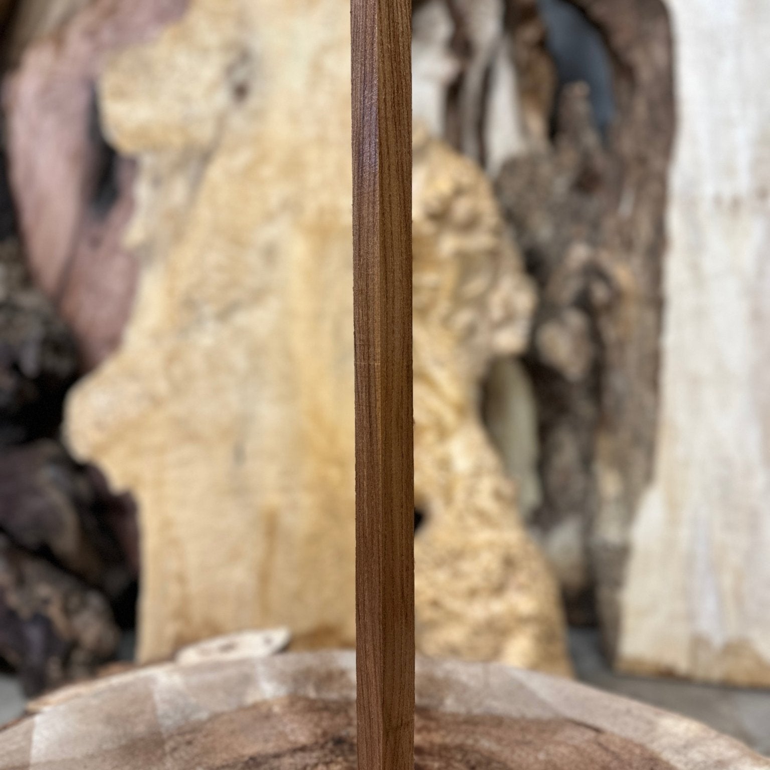 Elm Blank | Elm | Hamilton Lee Supply