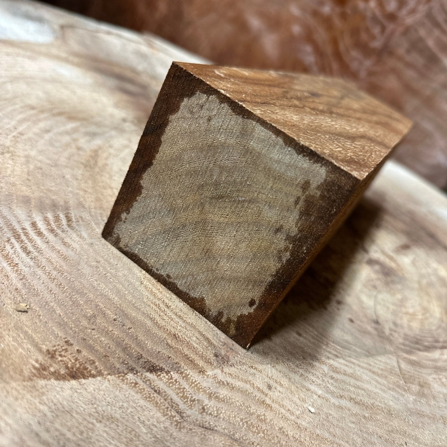 Elm Blank | Elm | Hamilton Lee Supply