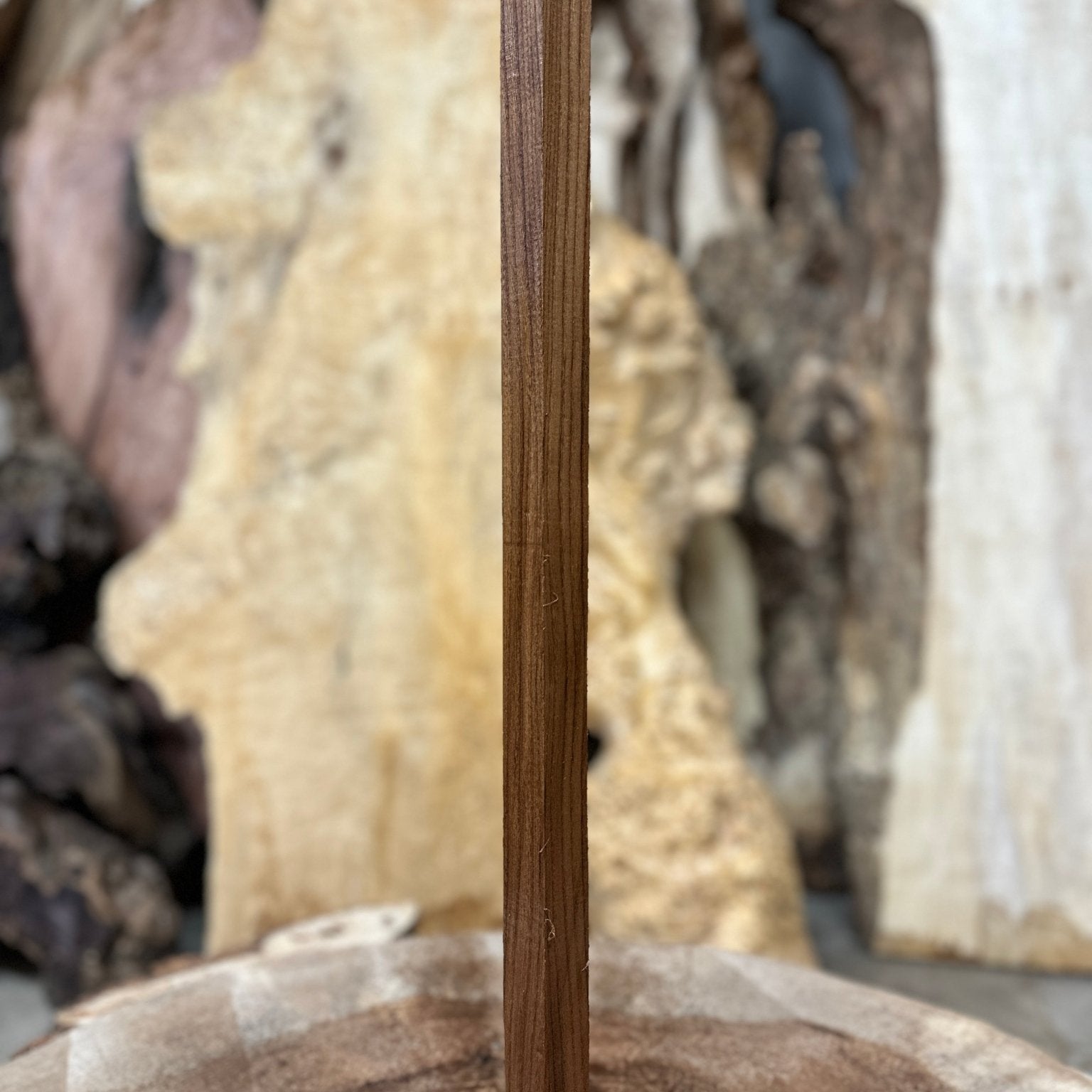 Elm Blank | Elm | Hamilton Lee Supply