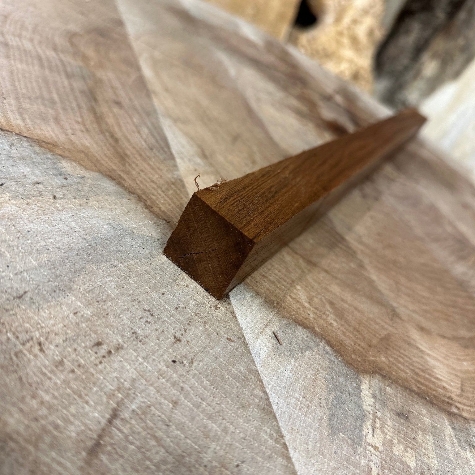 Elm Blank | Elm | Hamilton Lee Supply