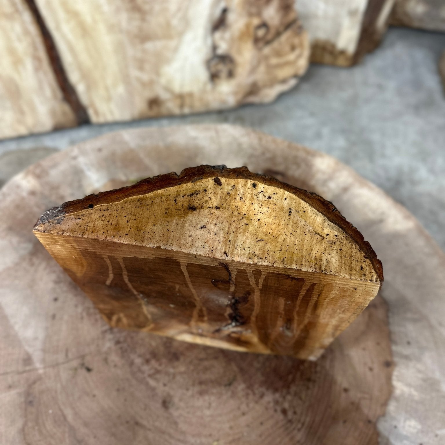 Elm Blank | Elm | Hamilton Lee Supply