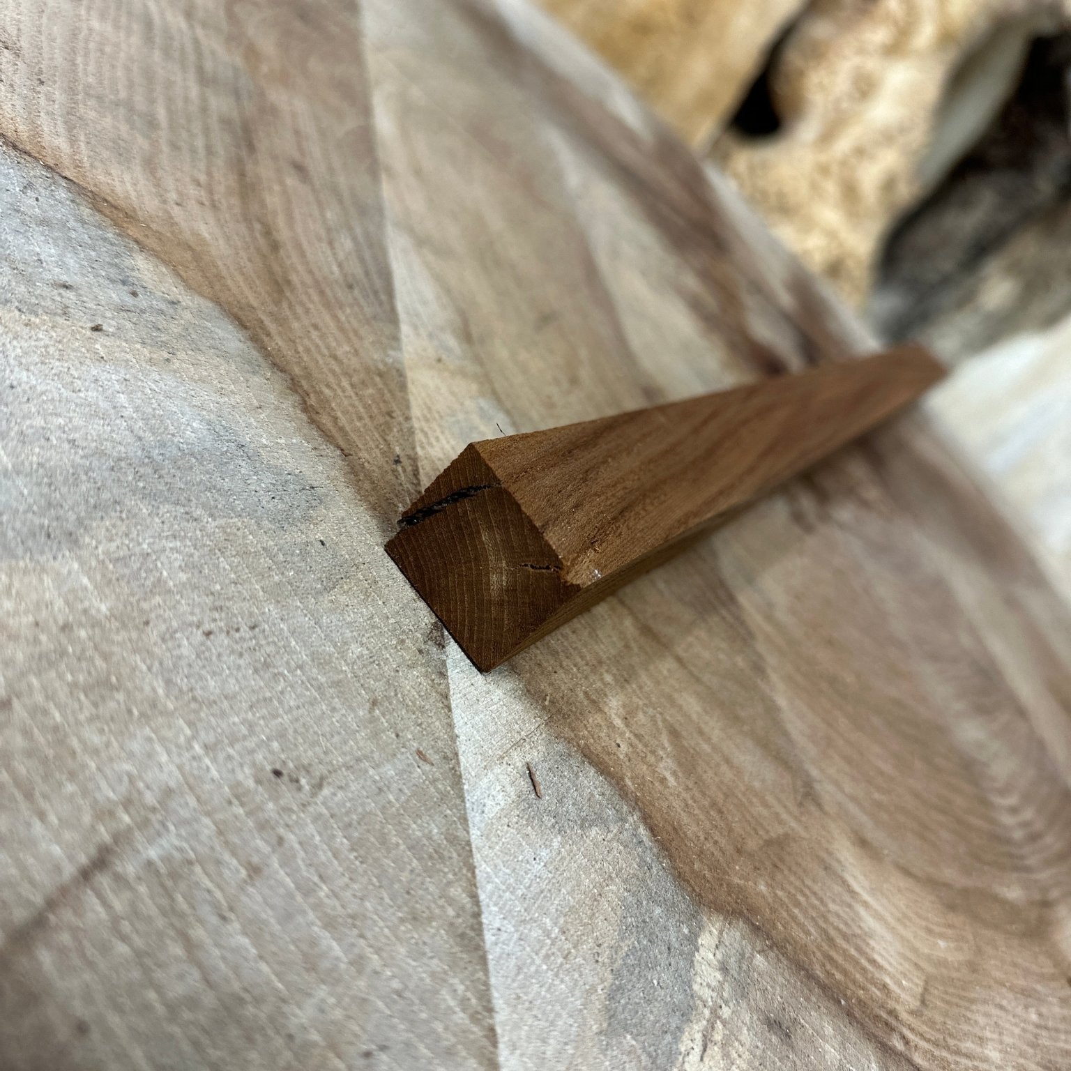 Elm Blank | Elm | Hamilton Lee Supply
