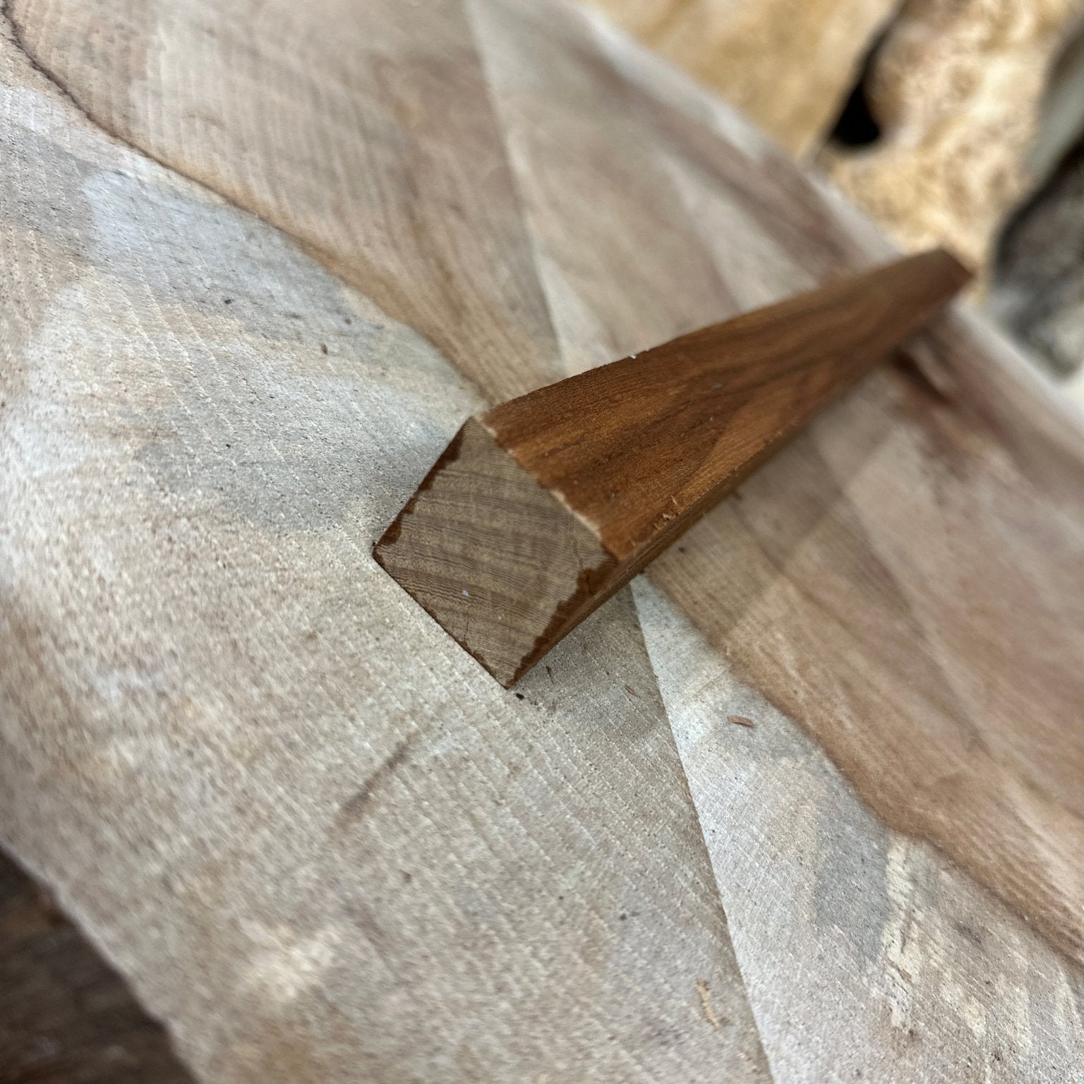 Elm Blank | Elm | Hamilton Lee Supply