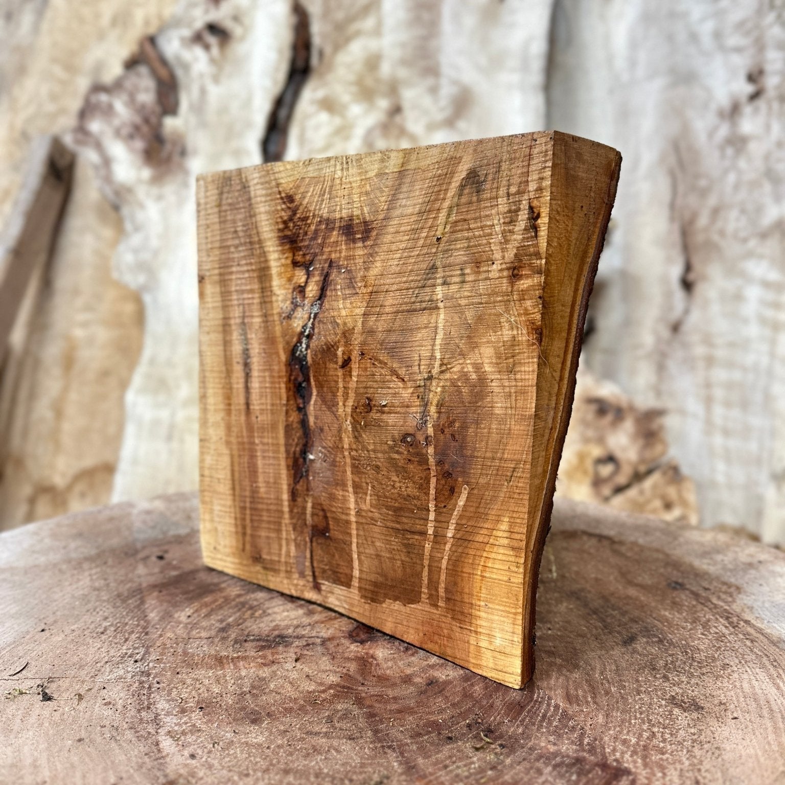 Elm Blank | Elm | Hamilton Lee Supply