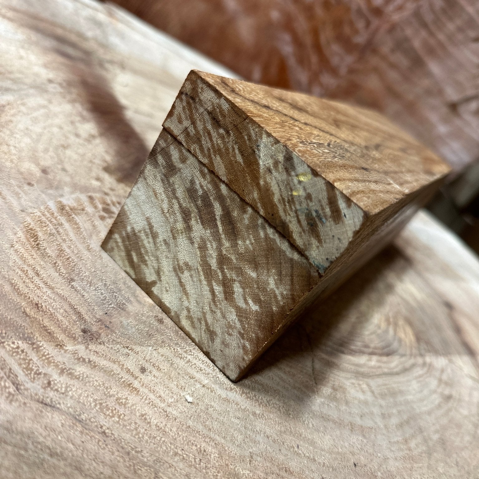 Elm Blank | Elm | Hamilton Lee Supply