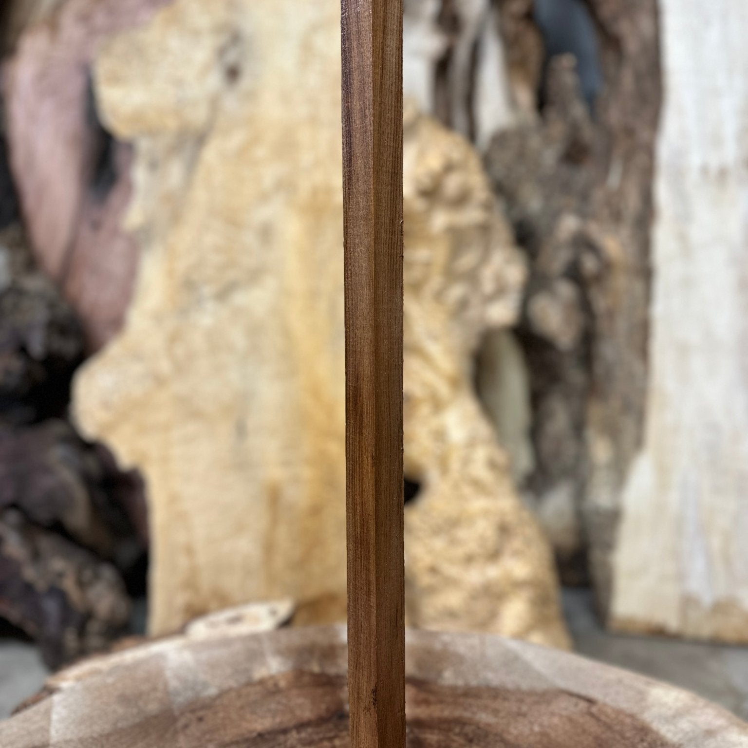 Elm Blank | Elm | Hamilton Lee Supply