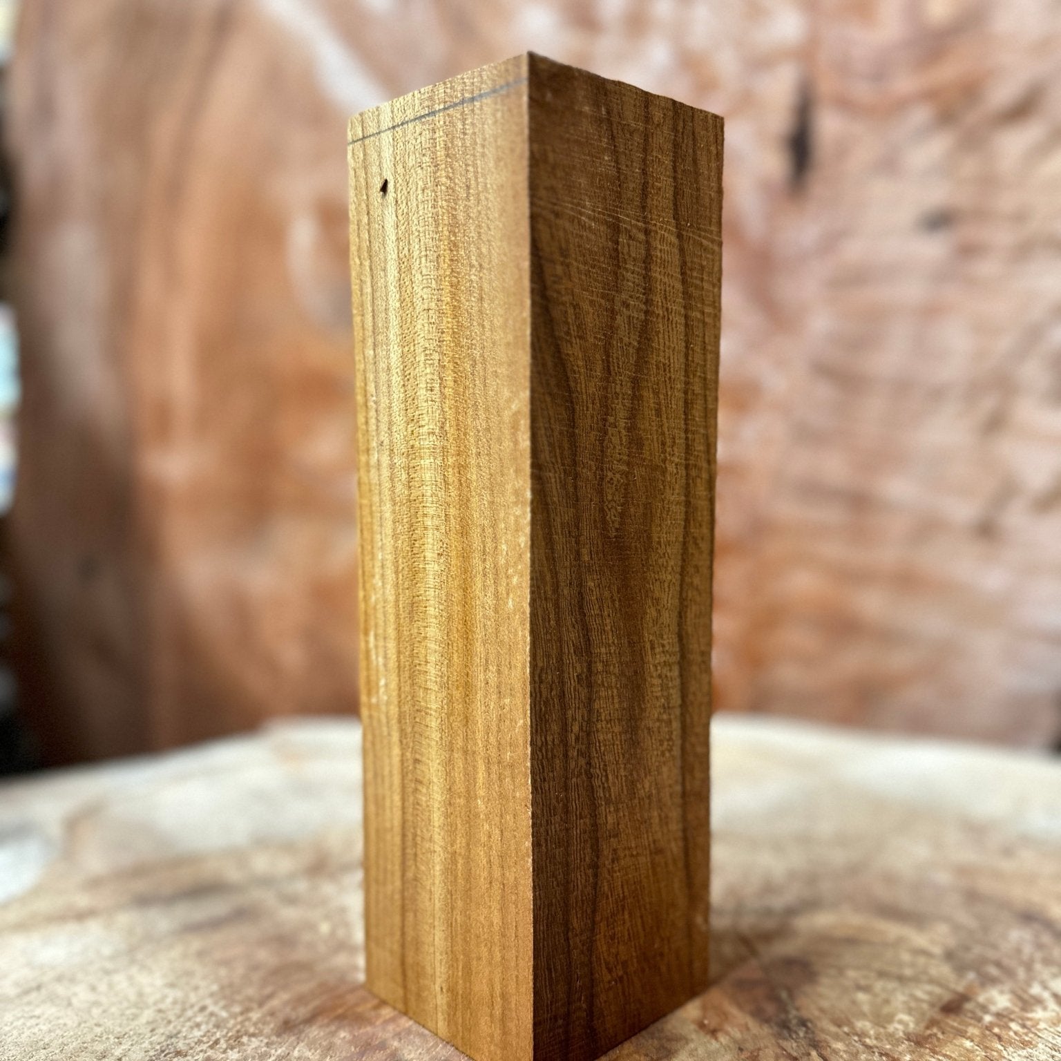 Elm Blank | Elm | Hamilton Lee Supply