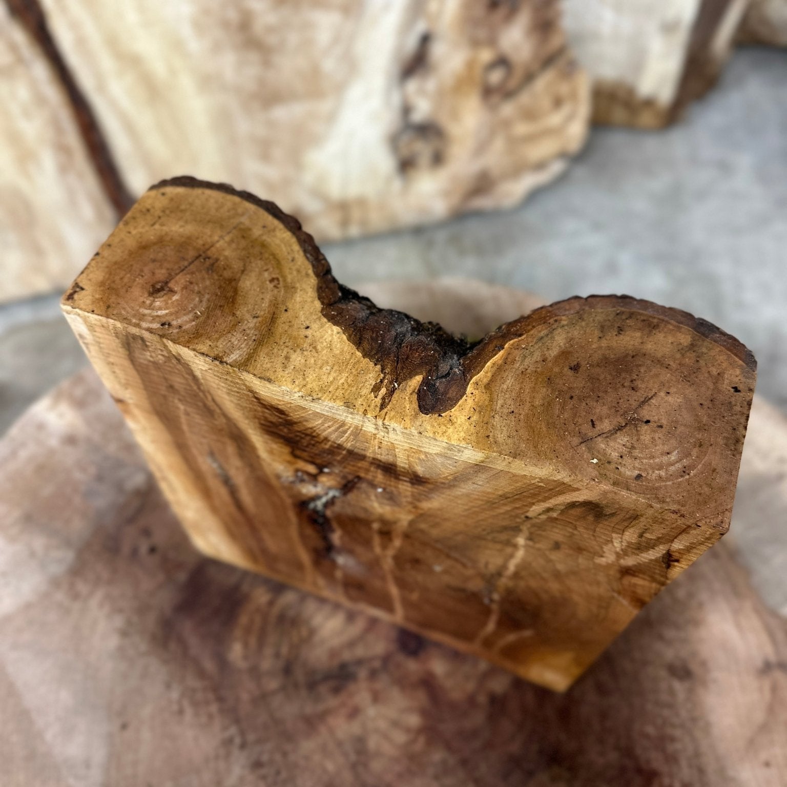Elm Blank | Elm | Hamilton Lee Supply