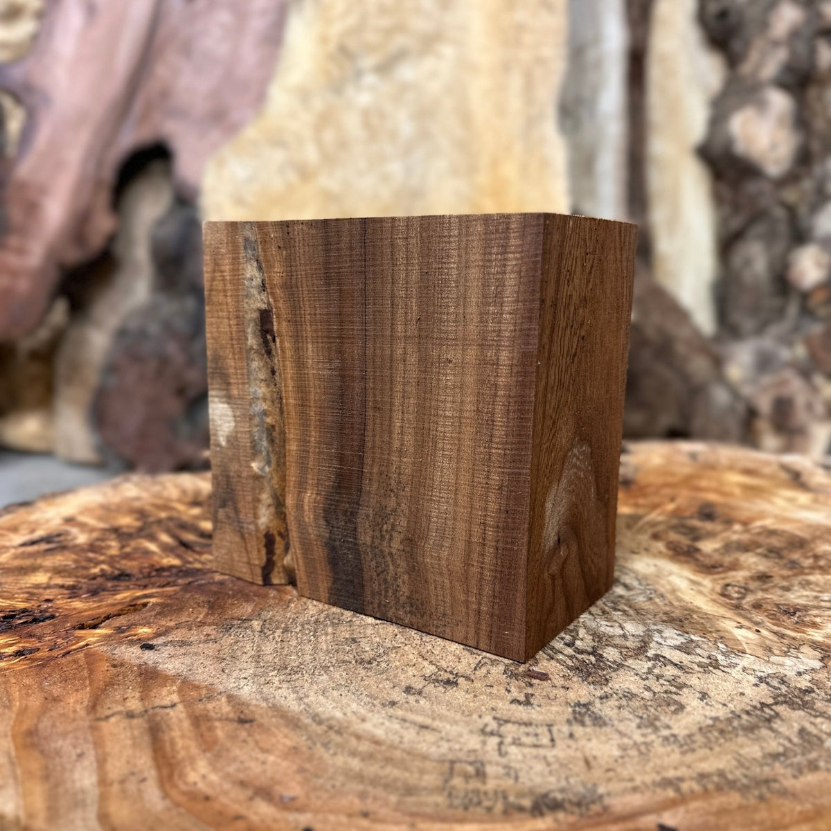 American Elm Bowl Blank | American Elm | Hamilton Lee Supply