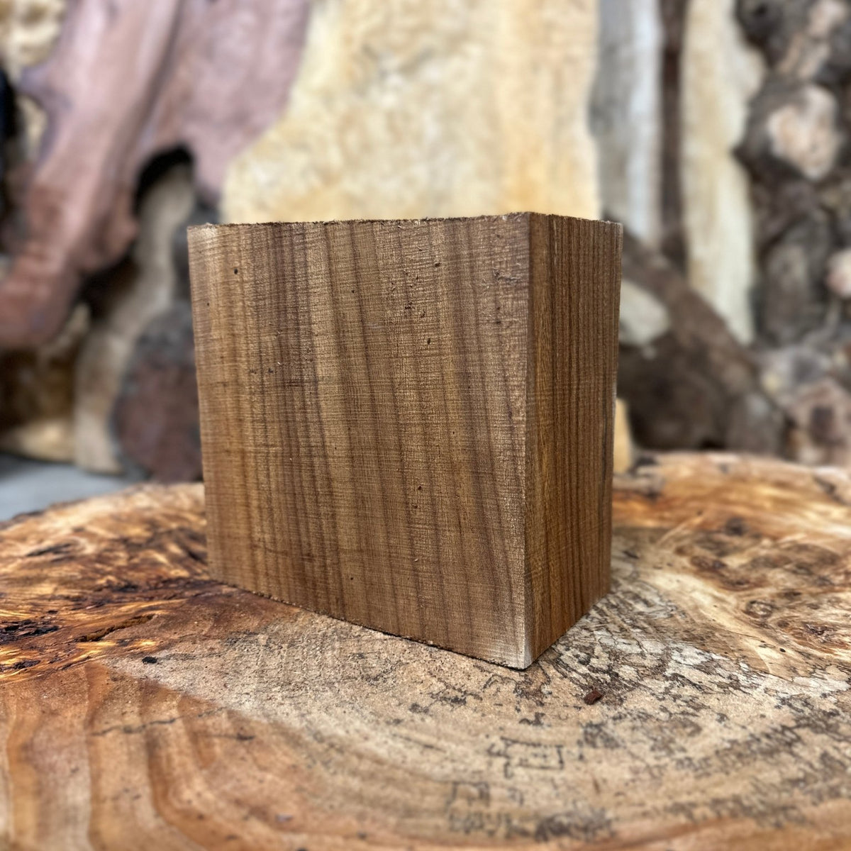 American Elm Bowl Blank | American Elm | Hamilton Lee Supply