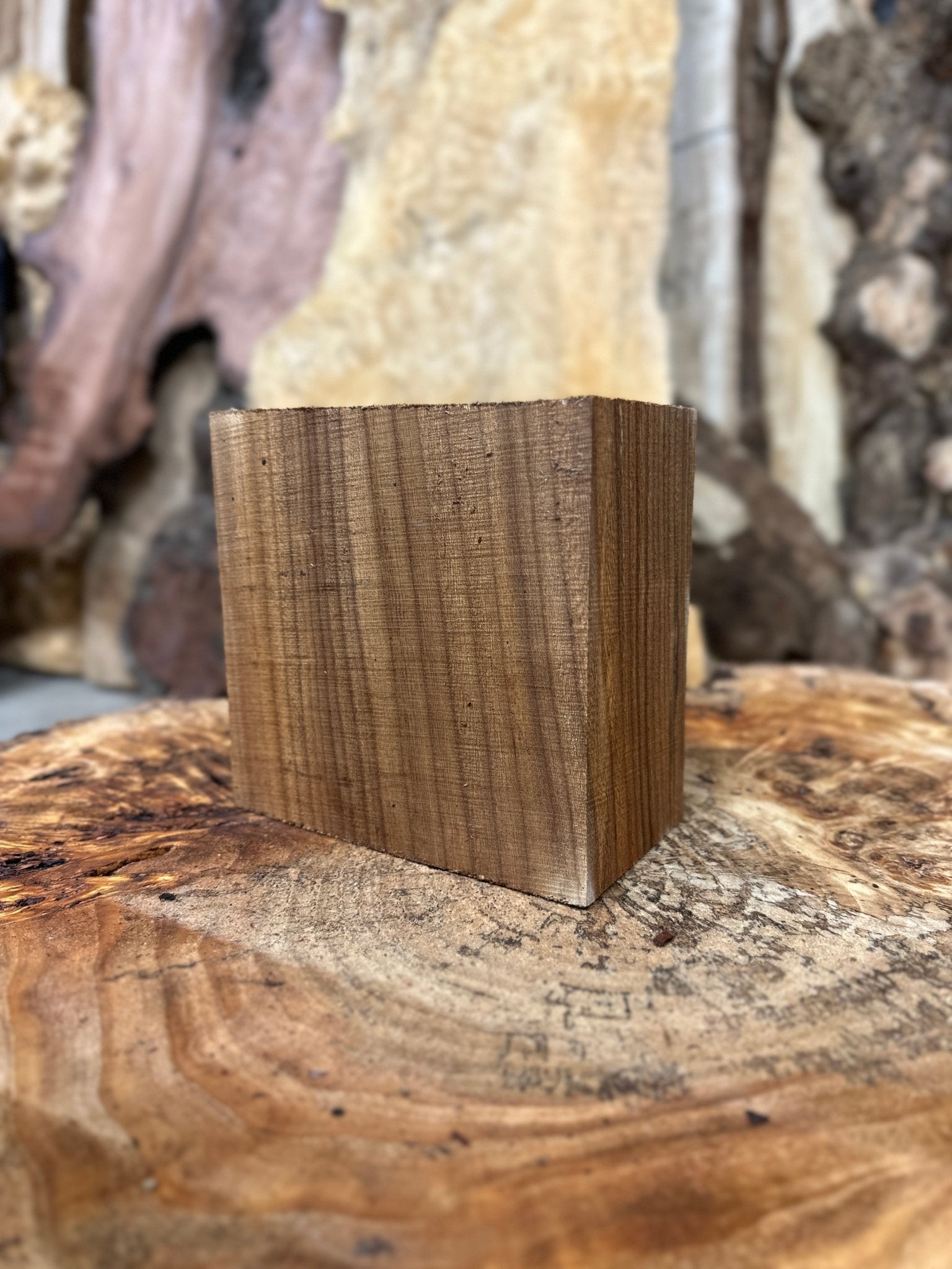 American Elm Bowl Blank | American Elm | Hamilton Lee Supply