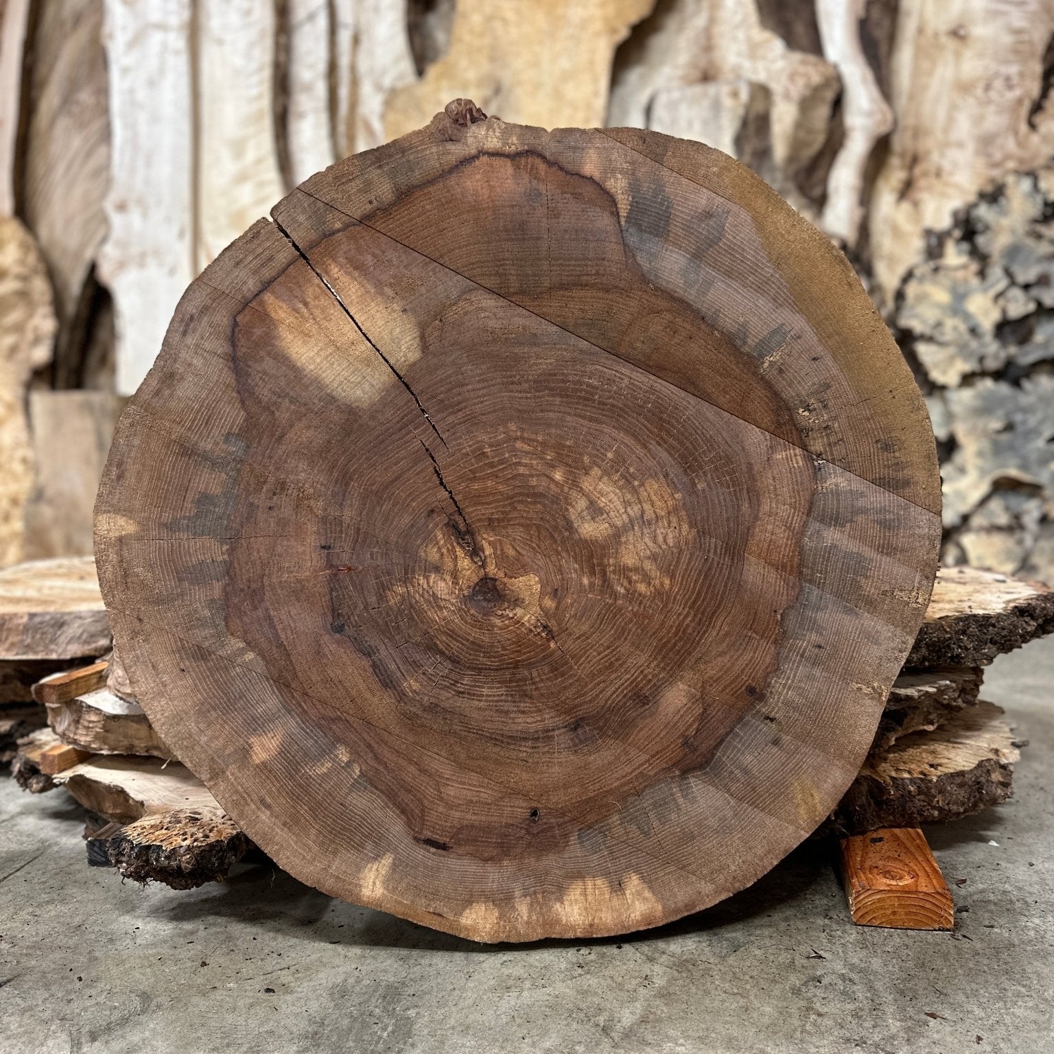 LiveEdge Pecan Cookie | Pecan | Hamilton Lee Supply