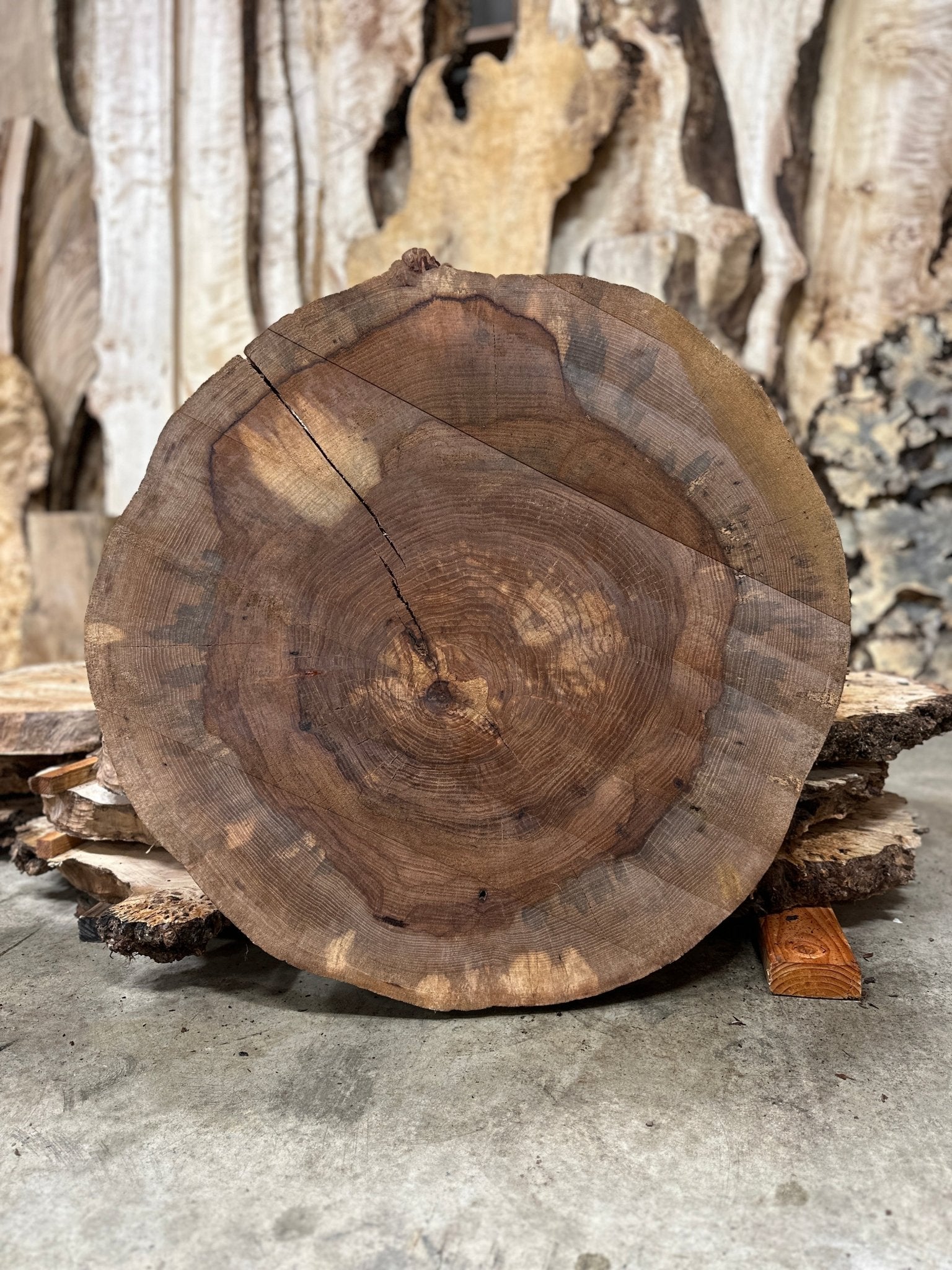 LiveEdge Pecan Cookie | Pecan | Hamilton Lee Supply