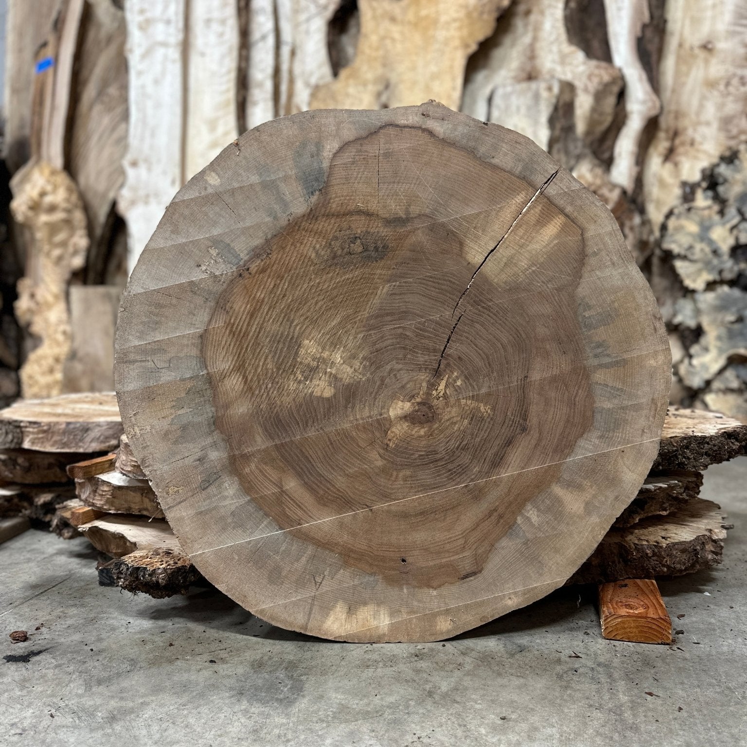 LiveEdge Pecan Cookie | Pecan | Hamilton Lee Supply