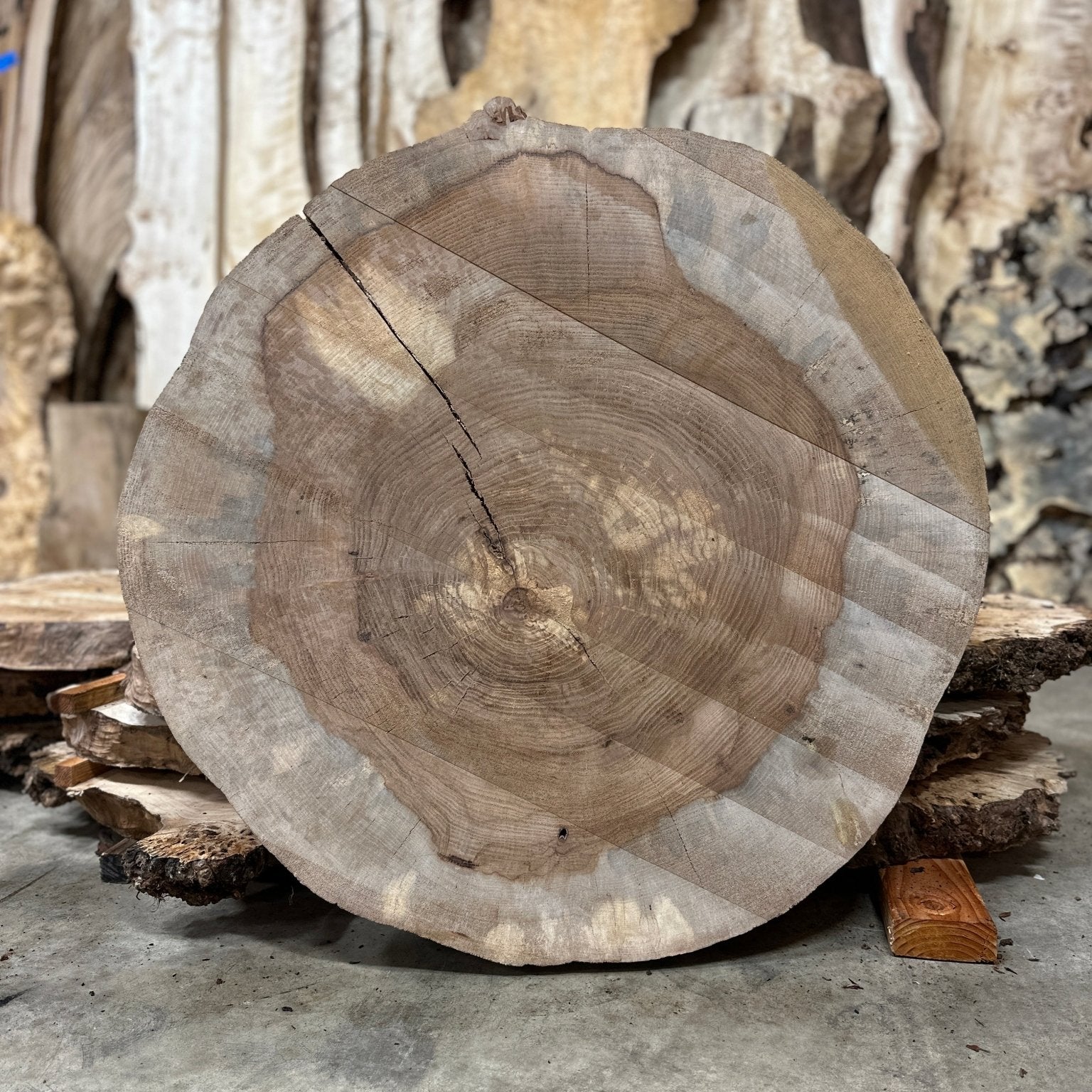 LiveEdge Pecan Cookie | Pecan | Hamilton Lee Supply