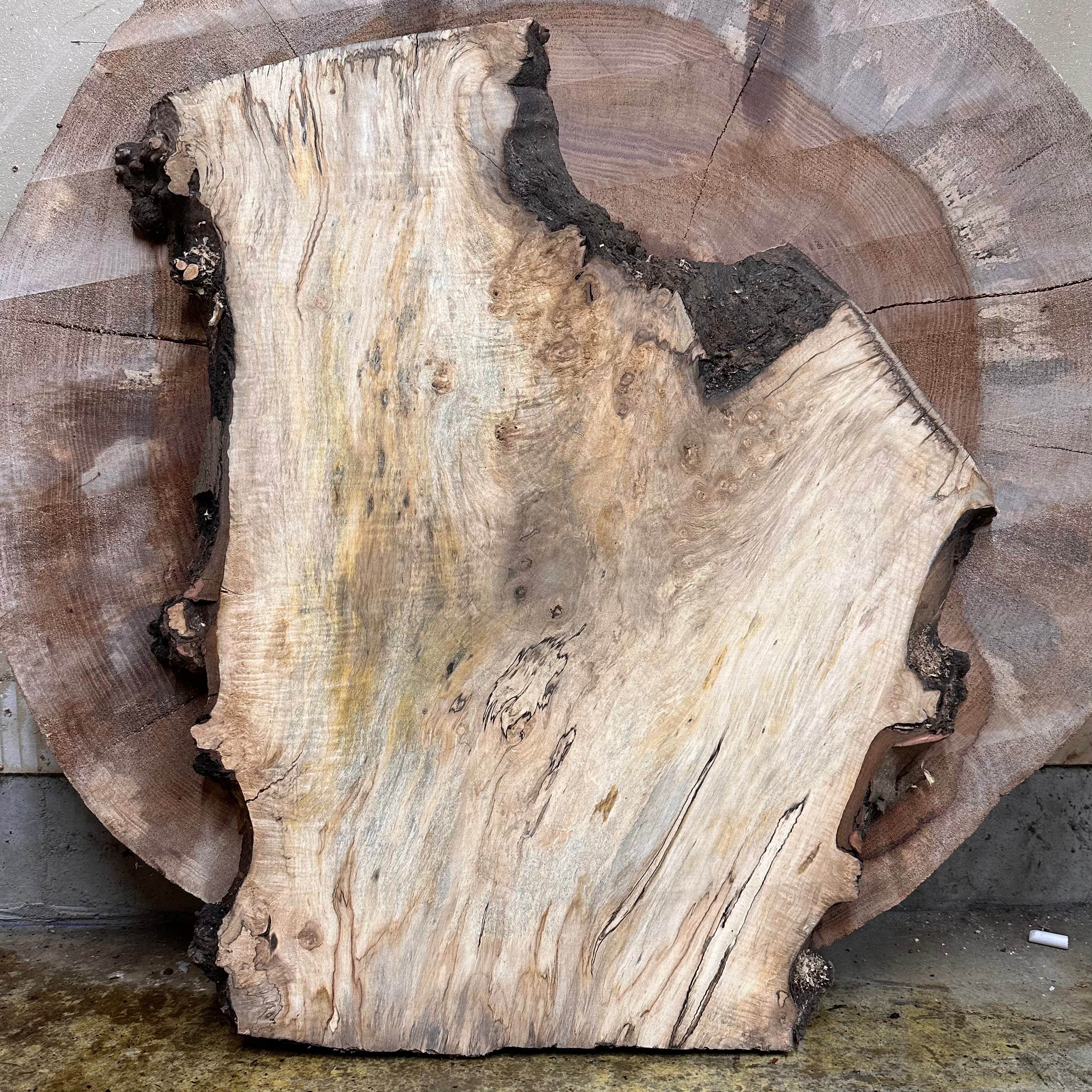 LiveEdge Silver Maple | | Hamilton Lee Supply