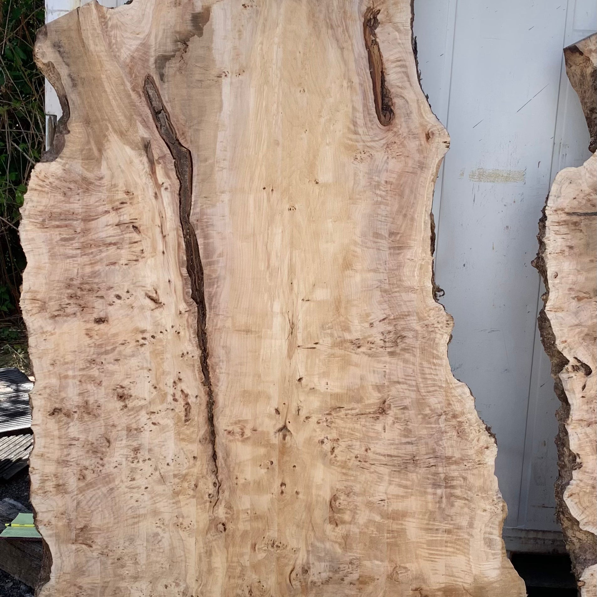 LiveEdge Mappa Burl | Mappa Burl | Hamilton Lee Supply