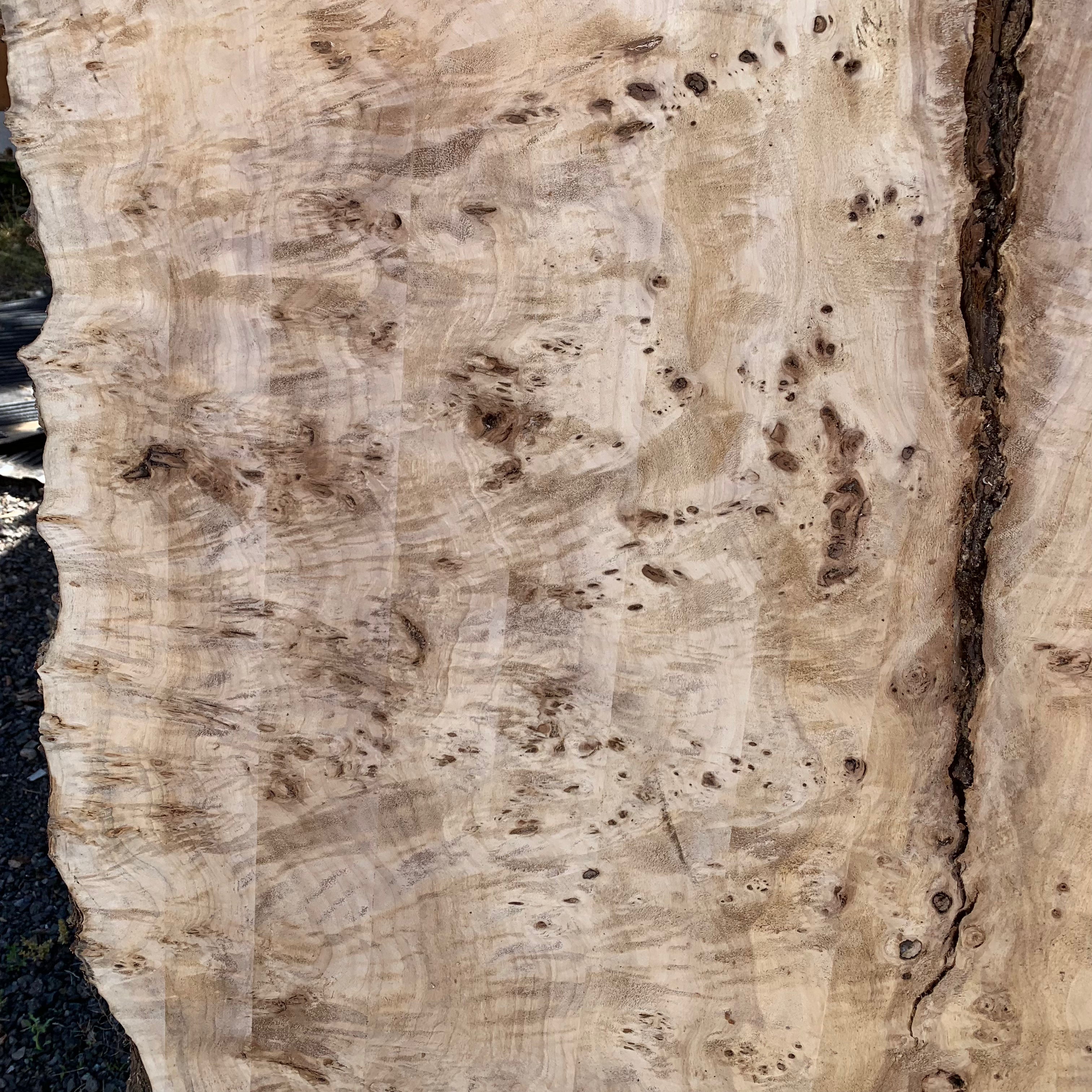 LiveEdge Mappa Burl | Mappa Burl | Hamilton Lee Supply