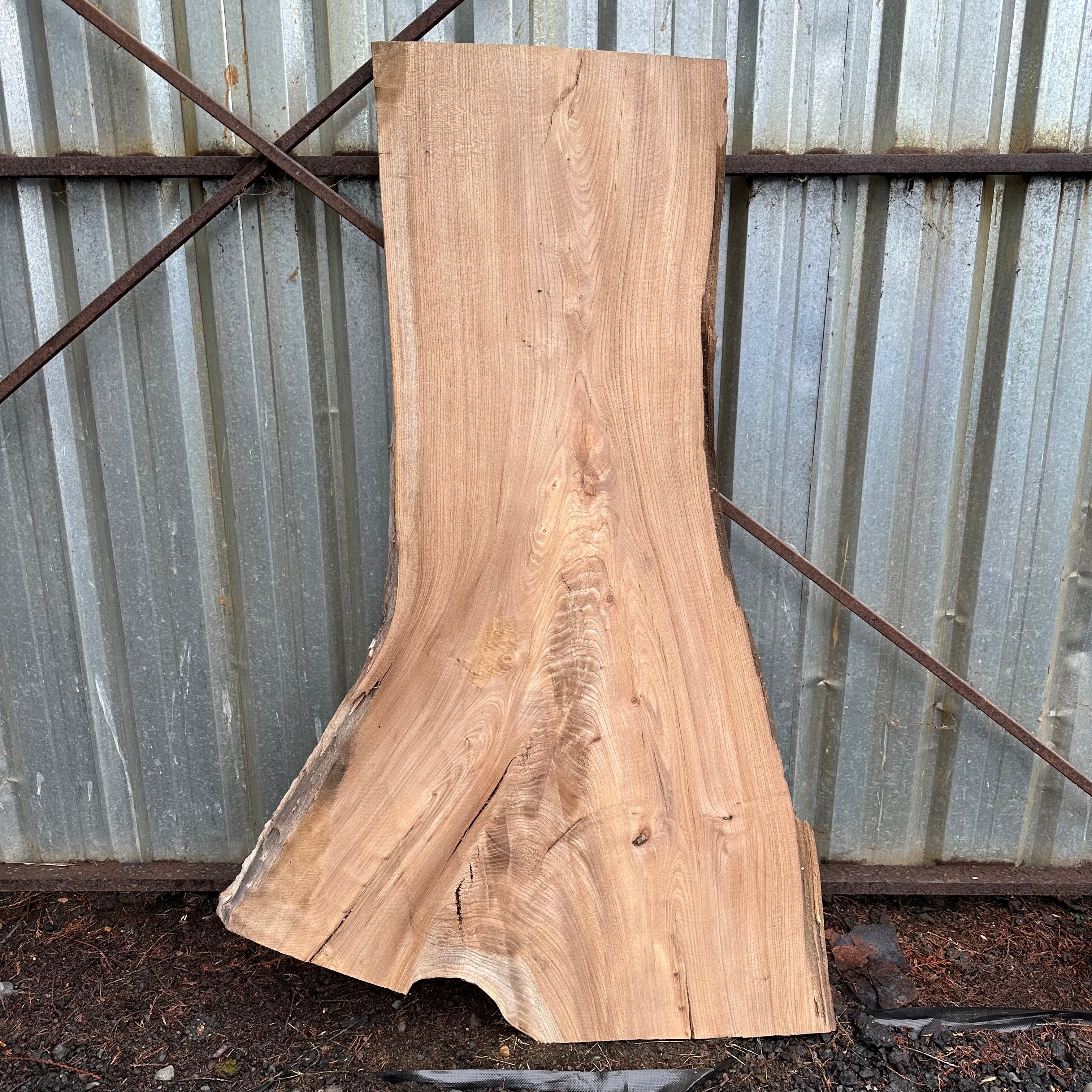 LiveEdge American Elm | American Elm | Hamilton Lee Supply