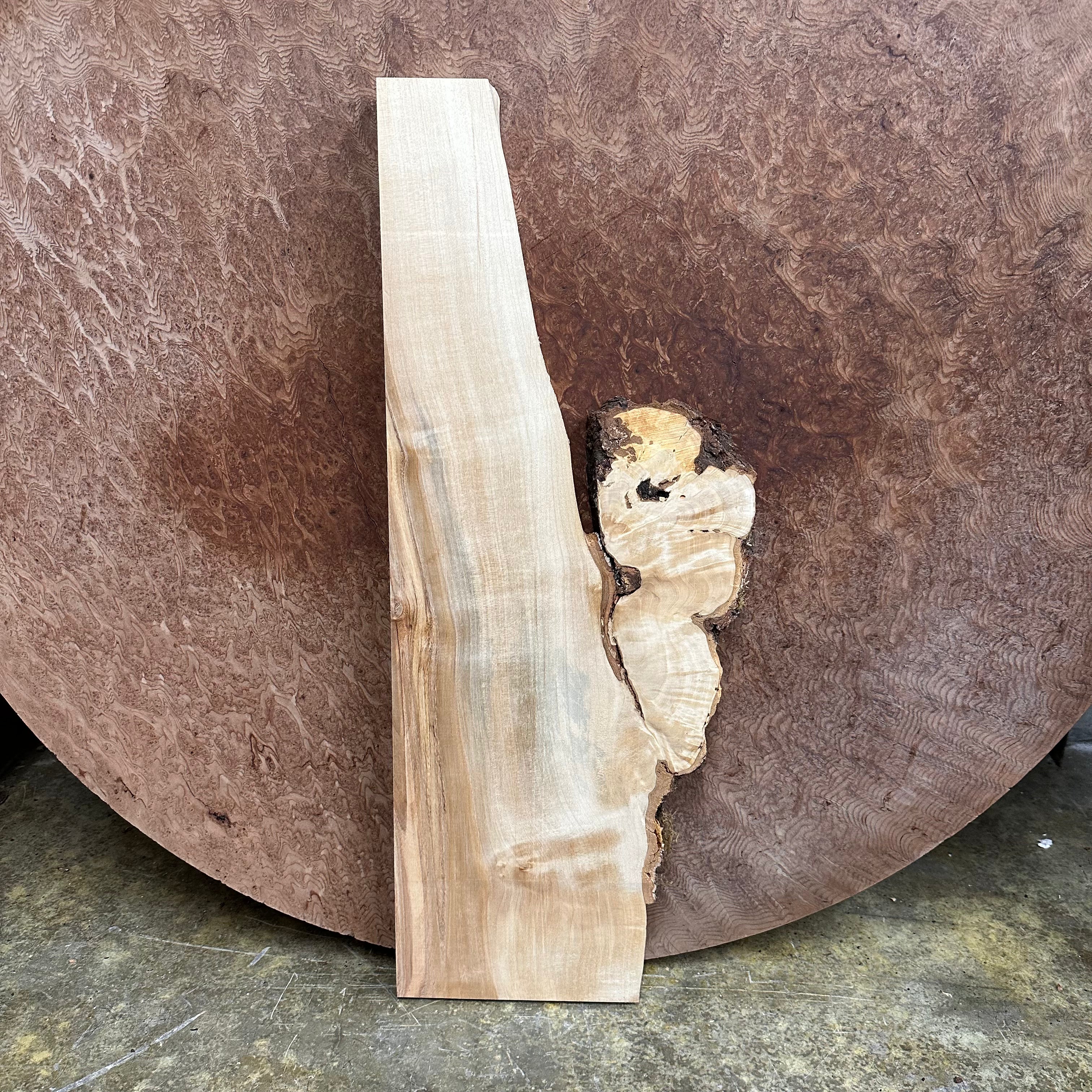 LiveEdge Birch Burl | Birch | Hamilton Lee Supply