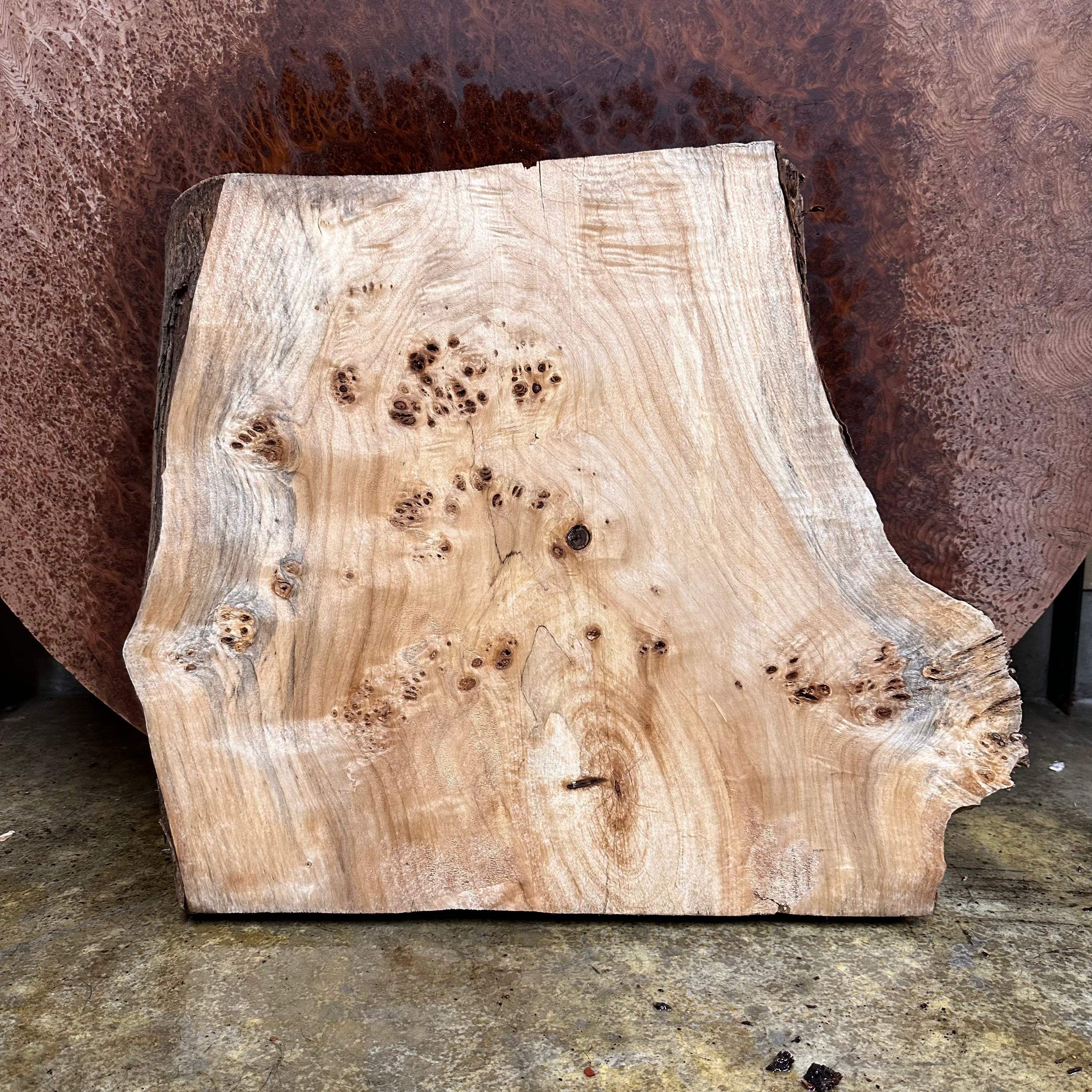 LiveEdge Mappa Burl | | Hamilton Lee Supply