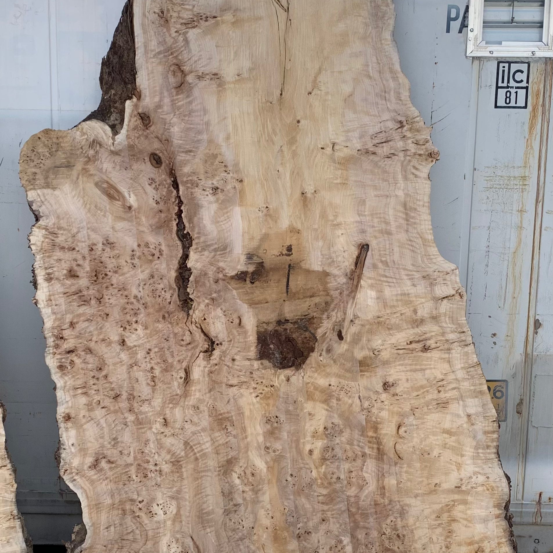 LiveEdge Mappa Burl | Mappa Burl | Hamilton Lee Supply