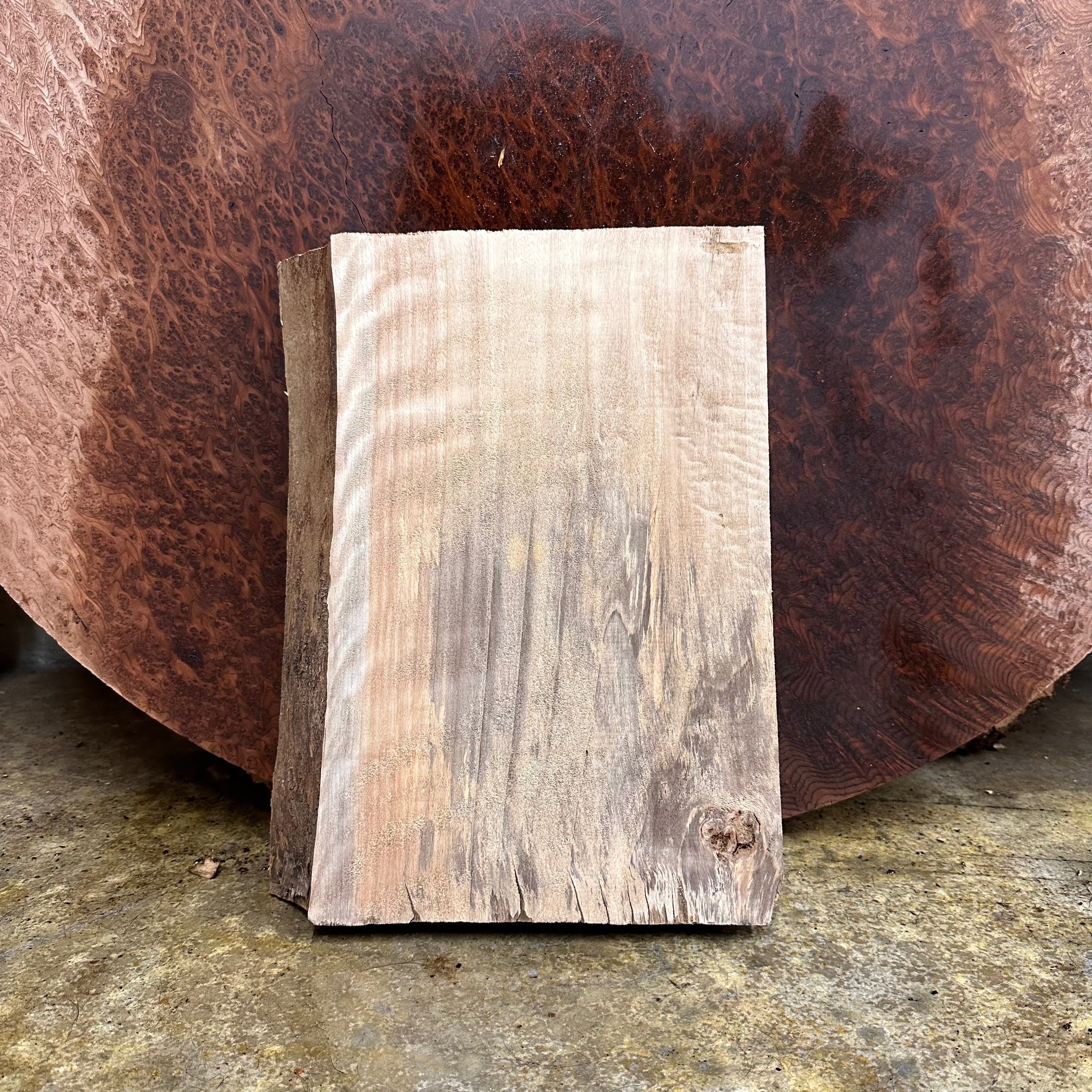 LiveEdge Mappa Burl | | Hamilton Lee Supply