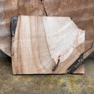 LiveEdge Silver Maple | Silver Maple | Hamilton Lee Supply