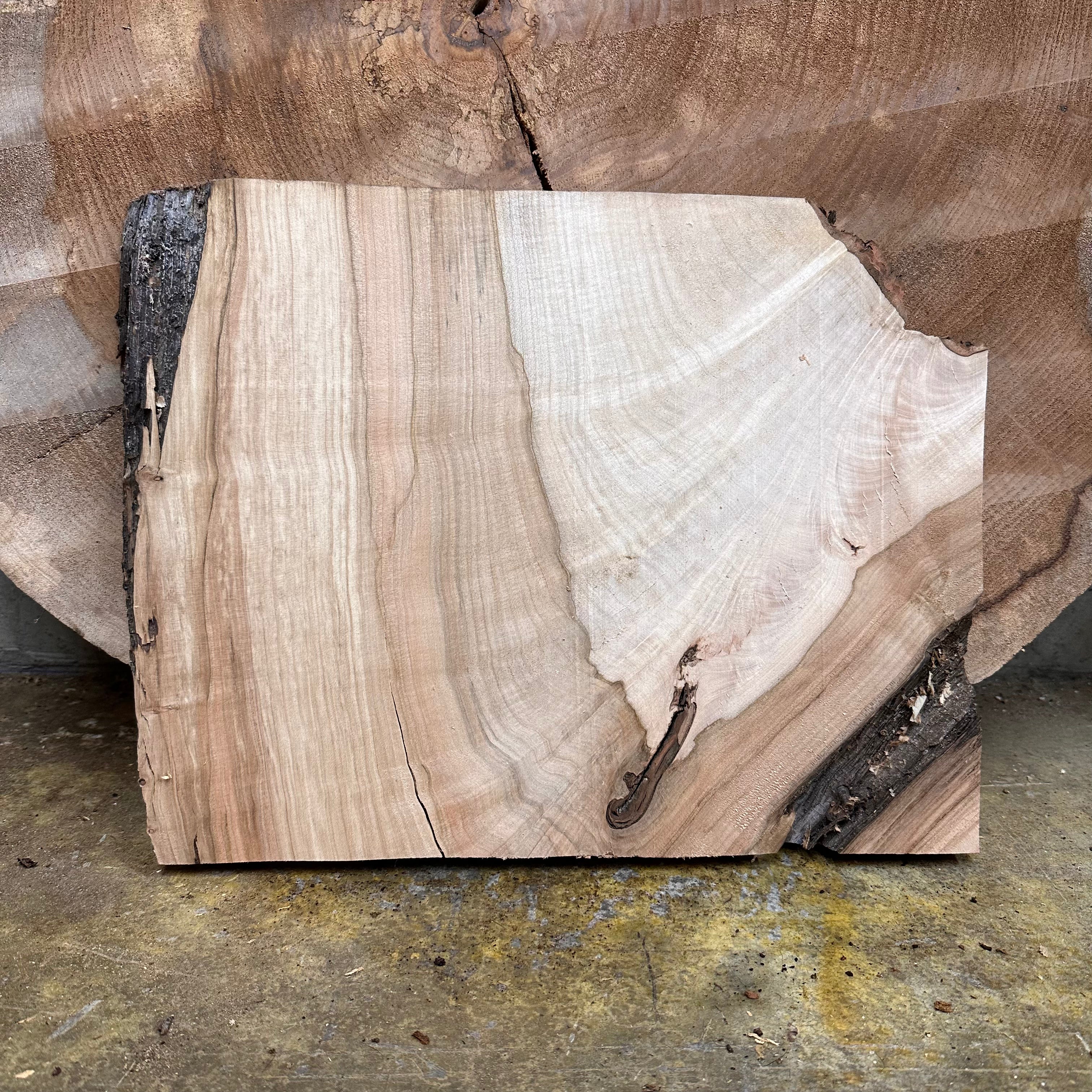 LiveEdge Silver Maple | Silver Maple | Hamilton Lee Supply