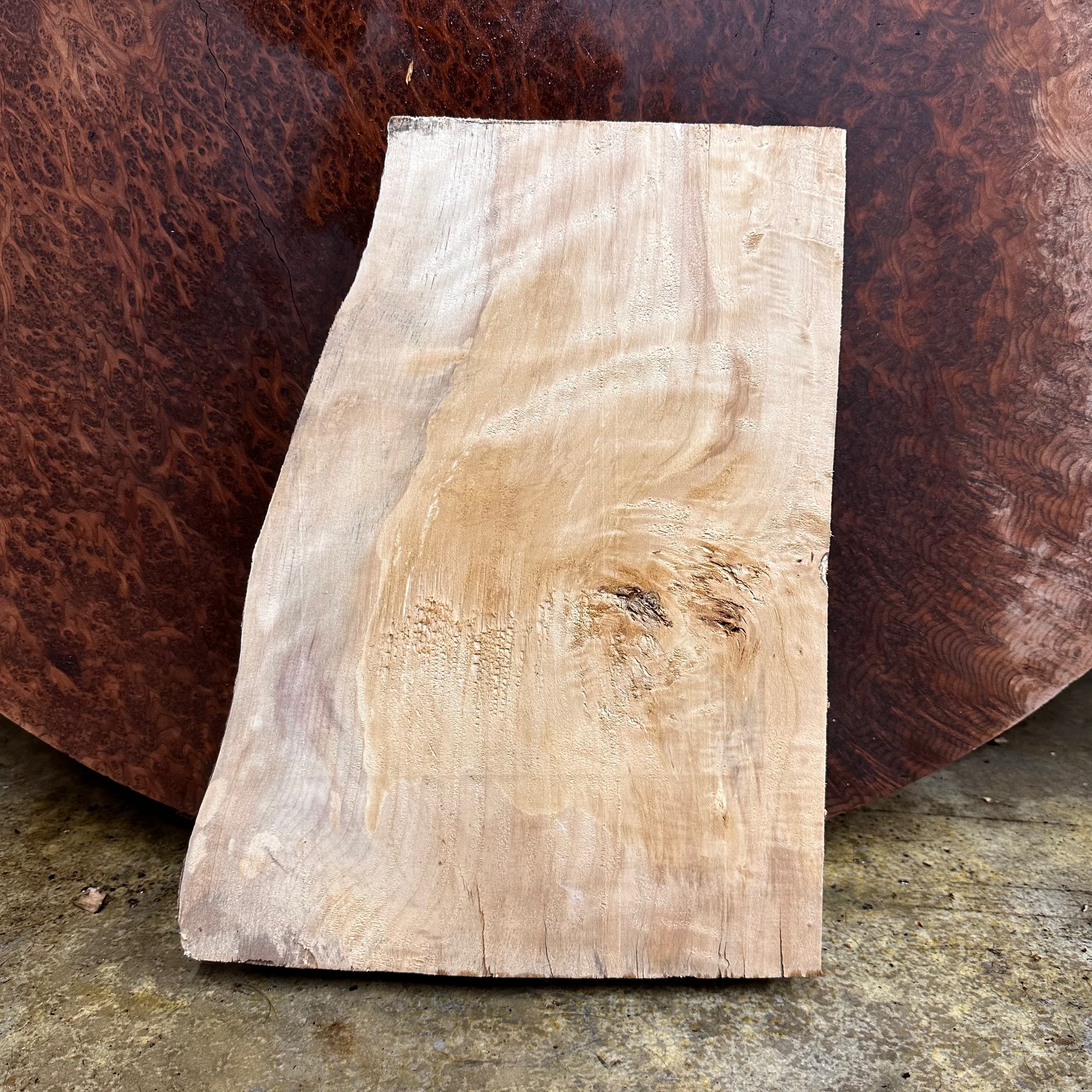 LiveEdge Mappa Burl | | Hamilton Lee Supply