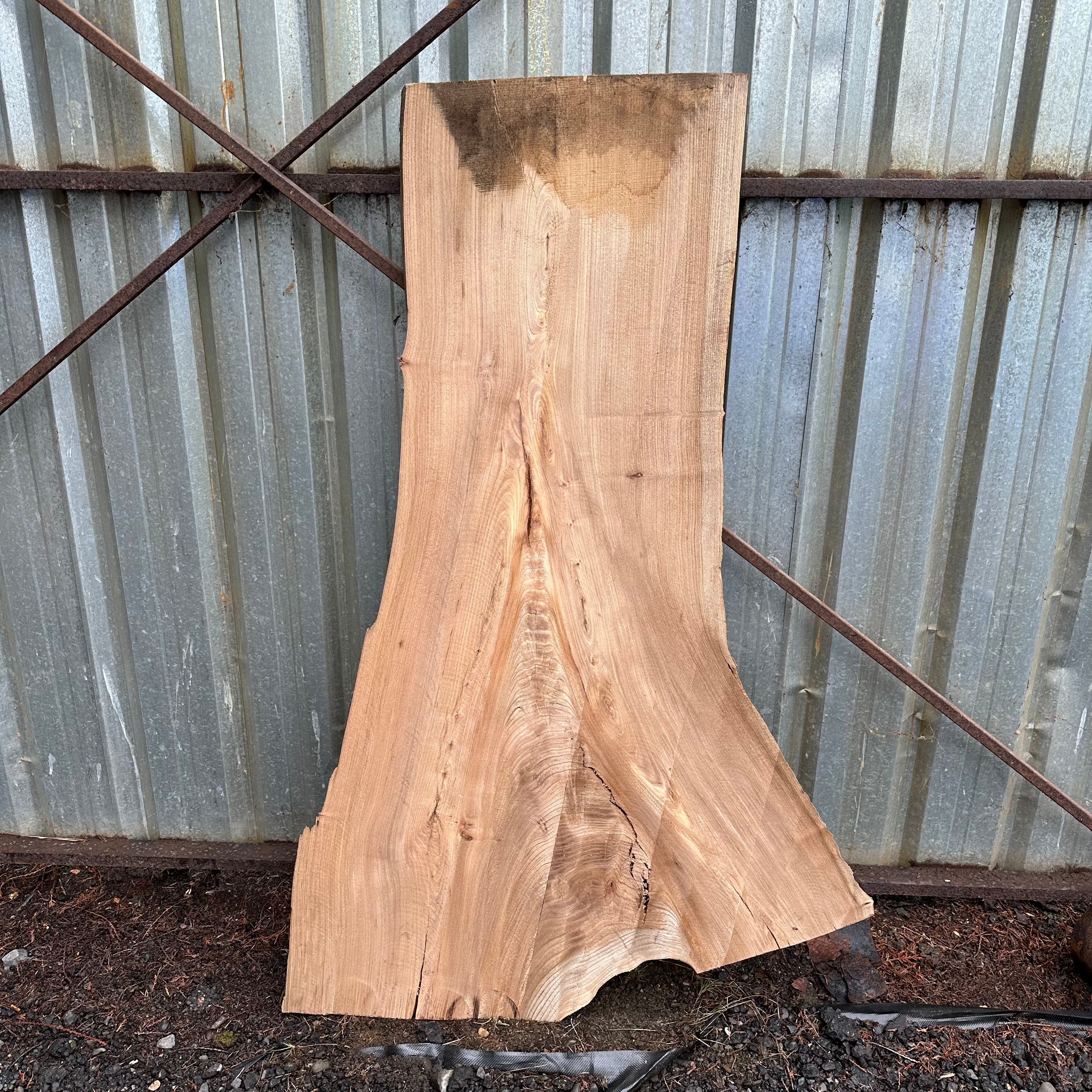 LiveEdge American Elm | American Elm | Hamilton Lee Supply