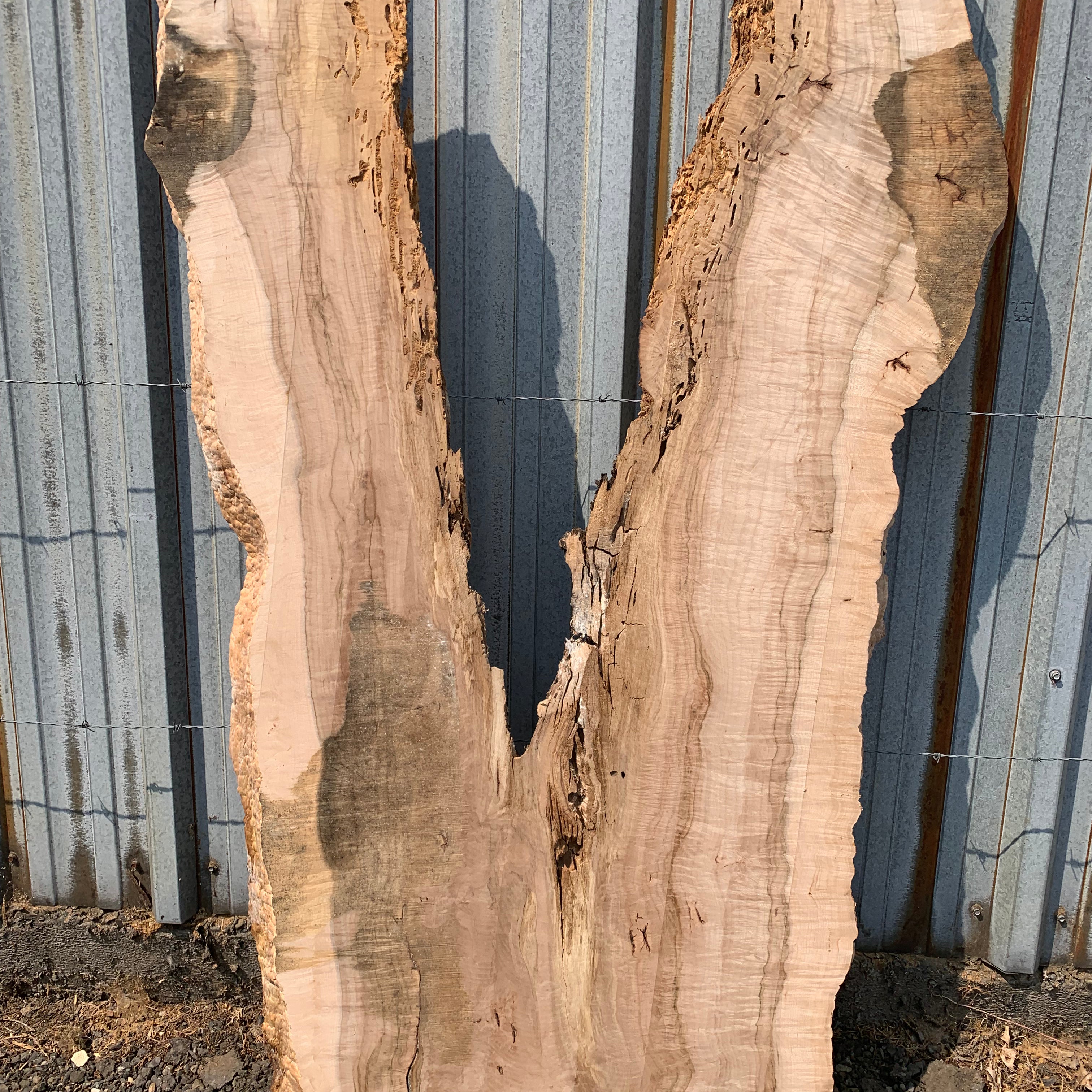 LiveEdge Norway Maple | Norway Maple | Hamilton Lee Supply