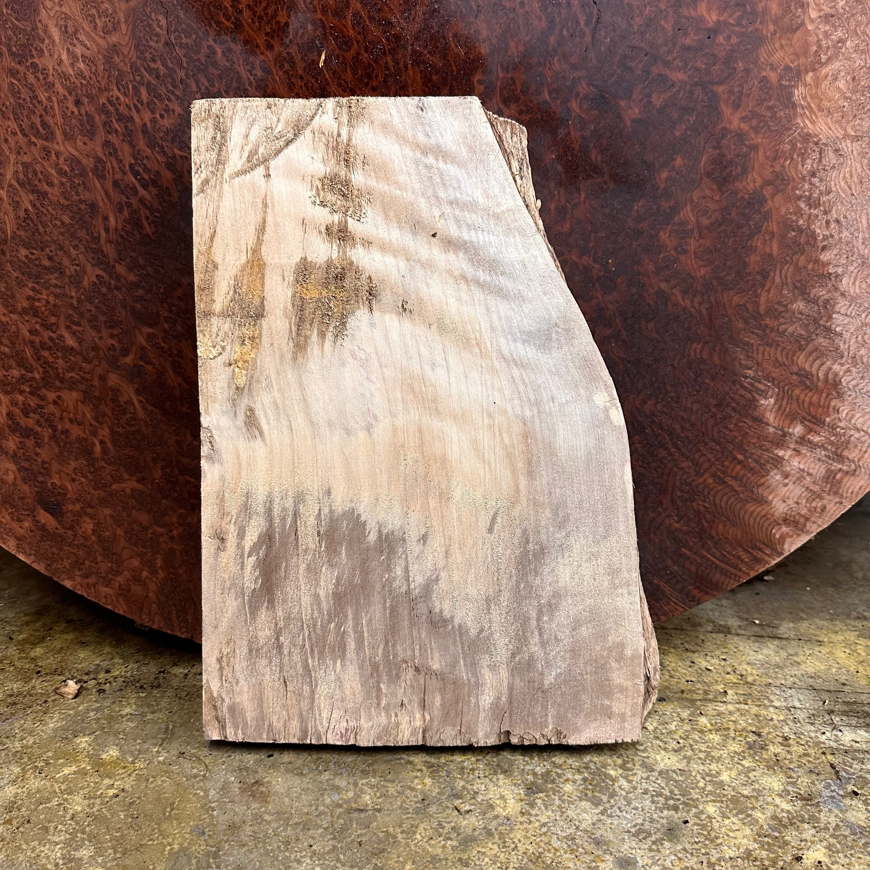 LiveEdge Mappa Burl | | Hamilton Lee Supply