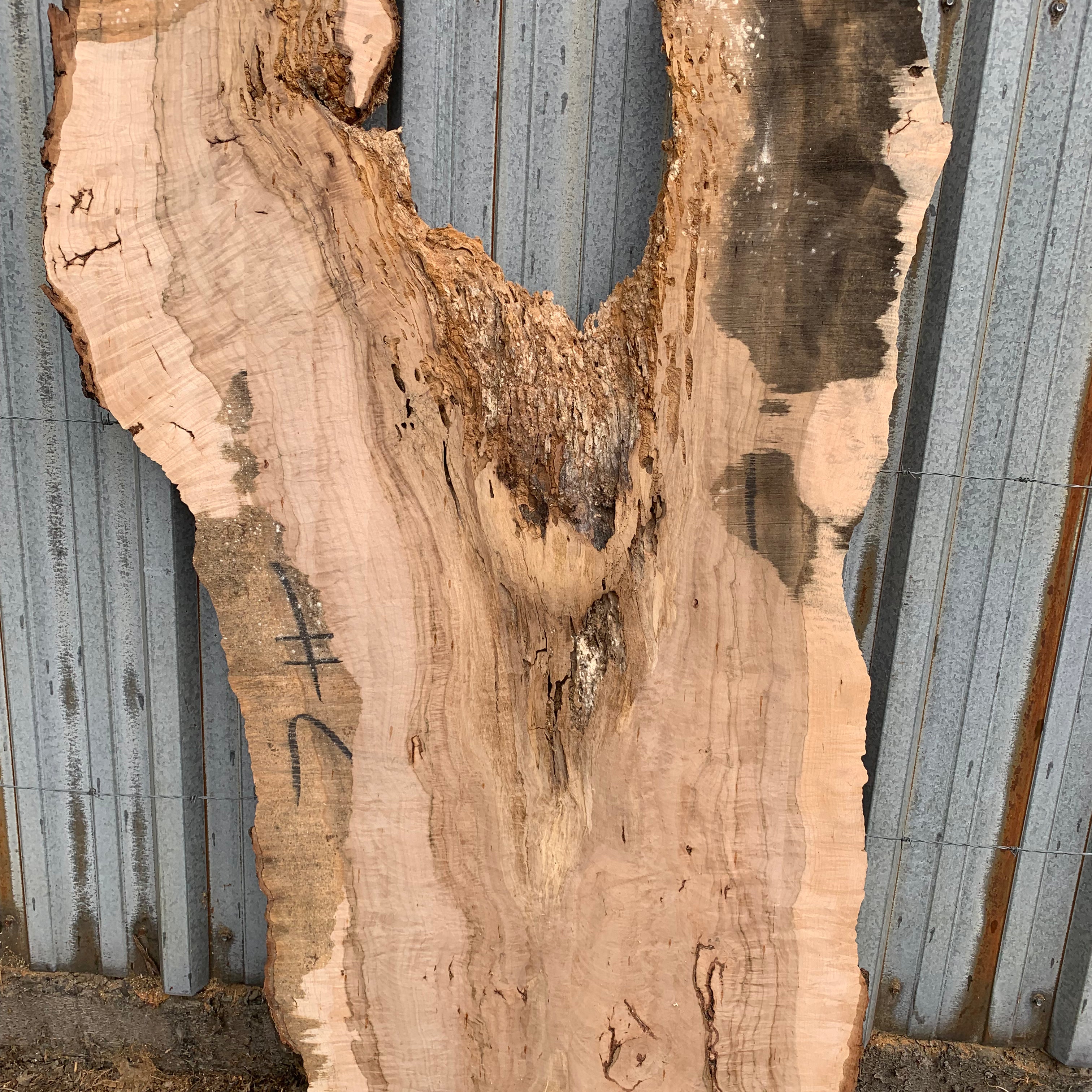 LiveEdge Norway Maple | Norway Maple | Hamilton Lee Supply