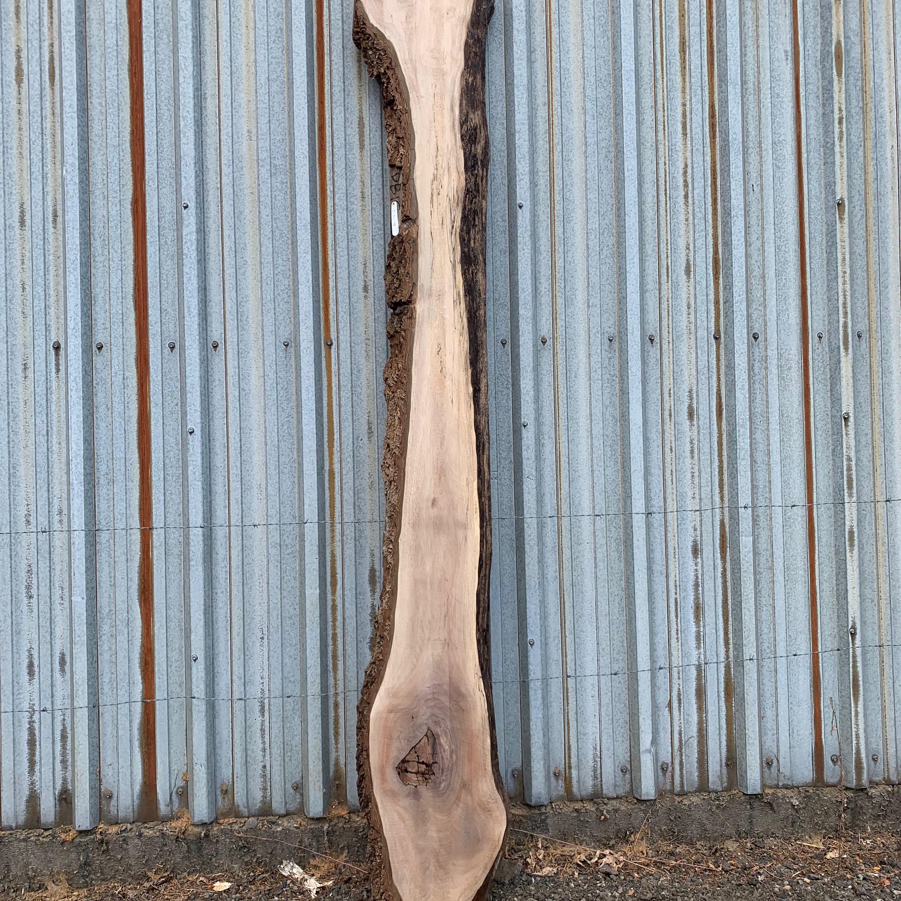 LiveEdge Black Walnut | Black Walnut | Hamilton Lee Supply