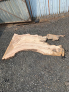 LiveEdge Big Leaf Maple | Big Leaf Maple | Hamilton Lee Supply