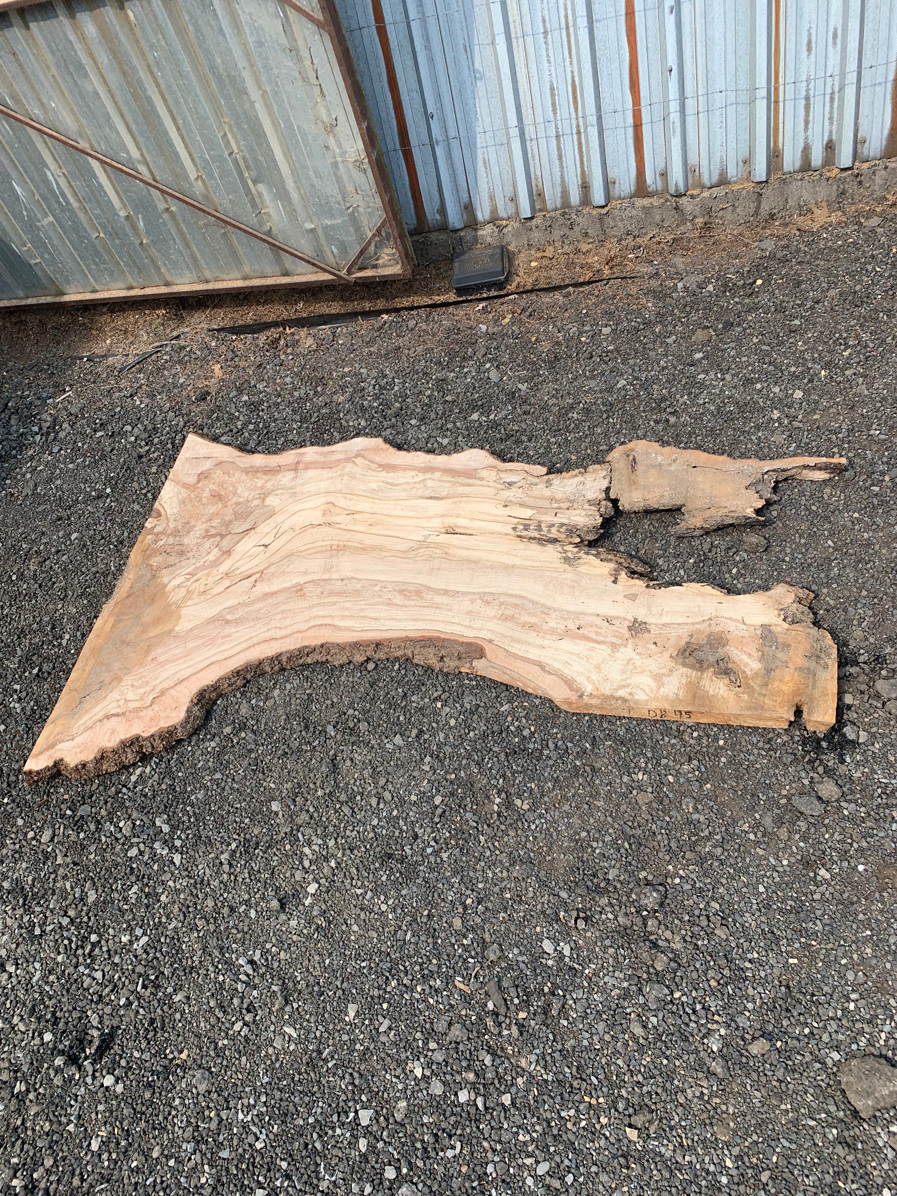 LiveEdge Big Leaf Maple | Big Leaf Maple | Hamilton Lee Supply