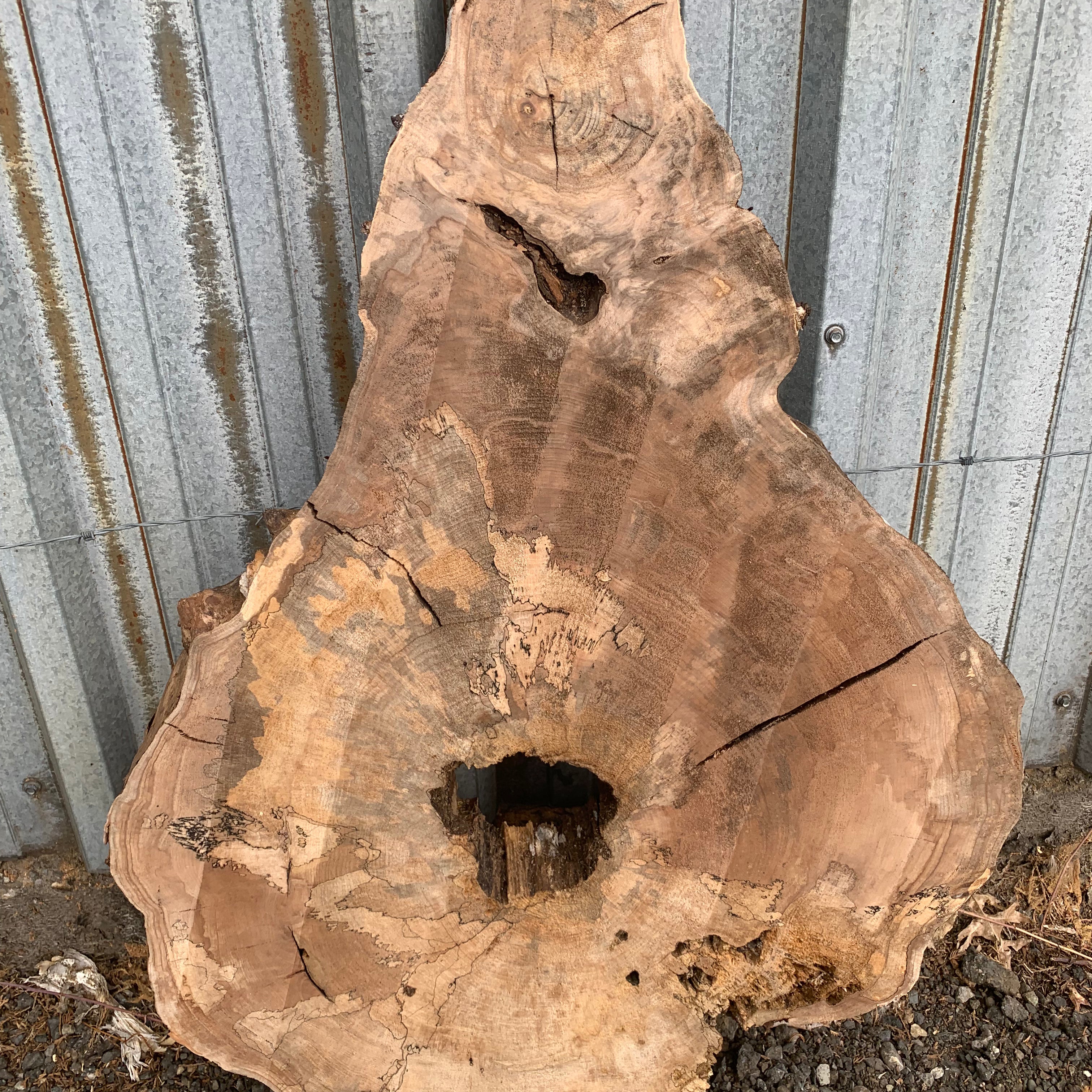 LiveEdge Big Leaf Maple Slab | Craft Wood & Shapes | Hamilton Lee Supply