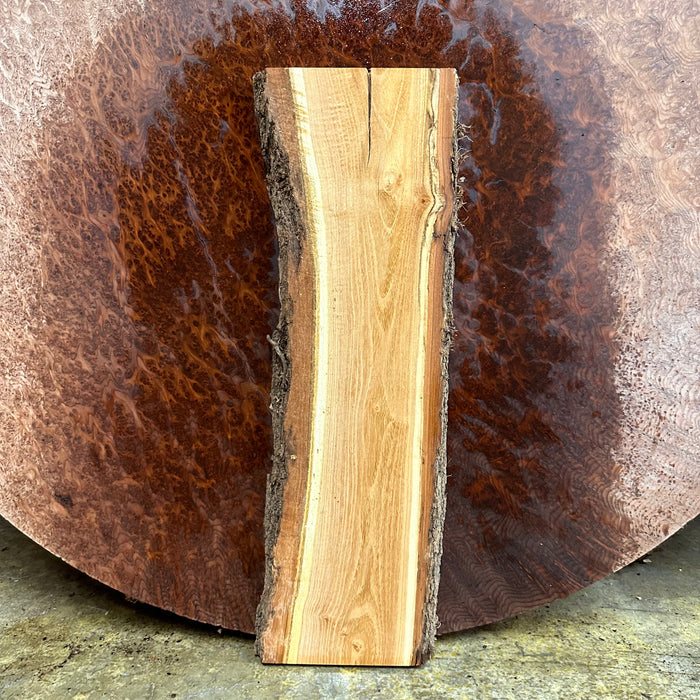 LiveEdge Black Locust