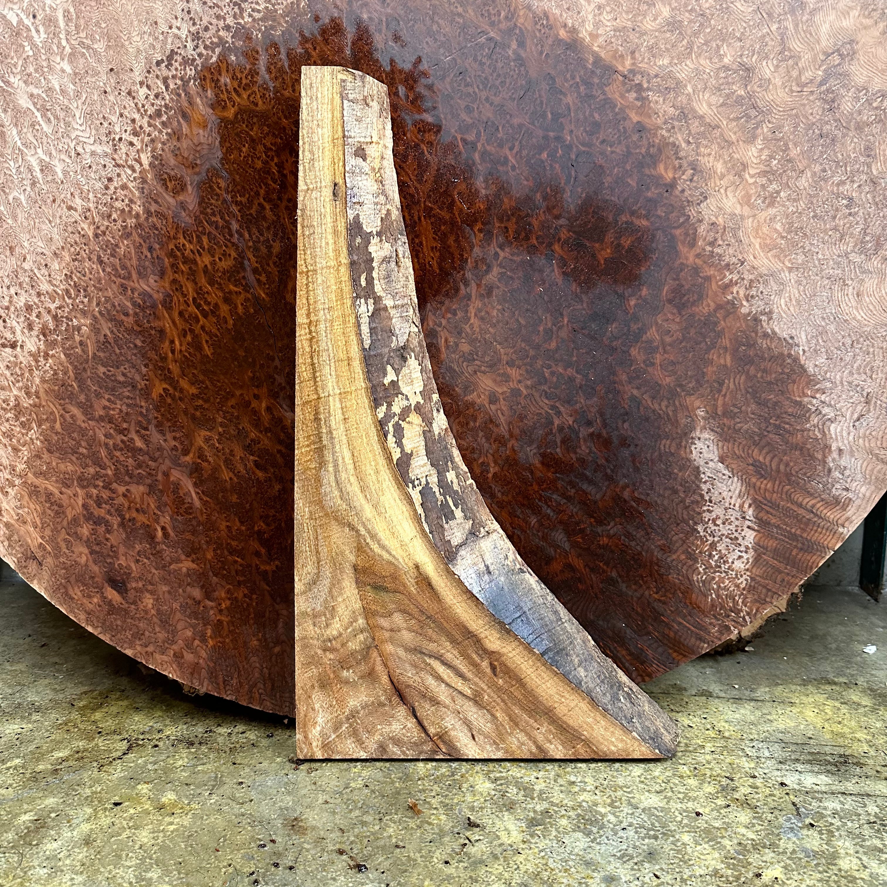 LiveEdge Elm | | Hamilton Lee Supply