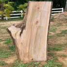 LiveEdge Big Leaf Maple | Big Leaf Maple | Hamilton Lee Supply