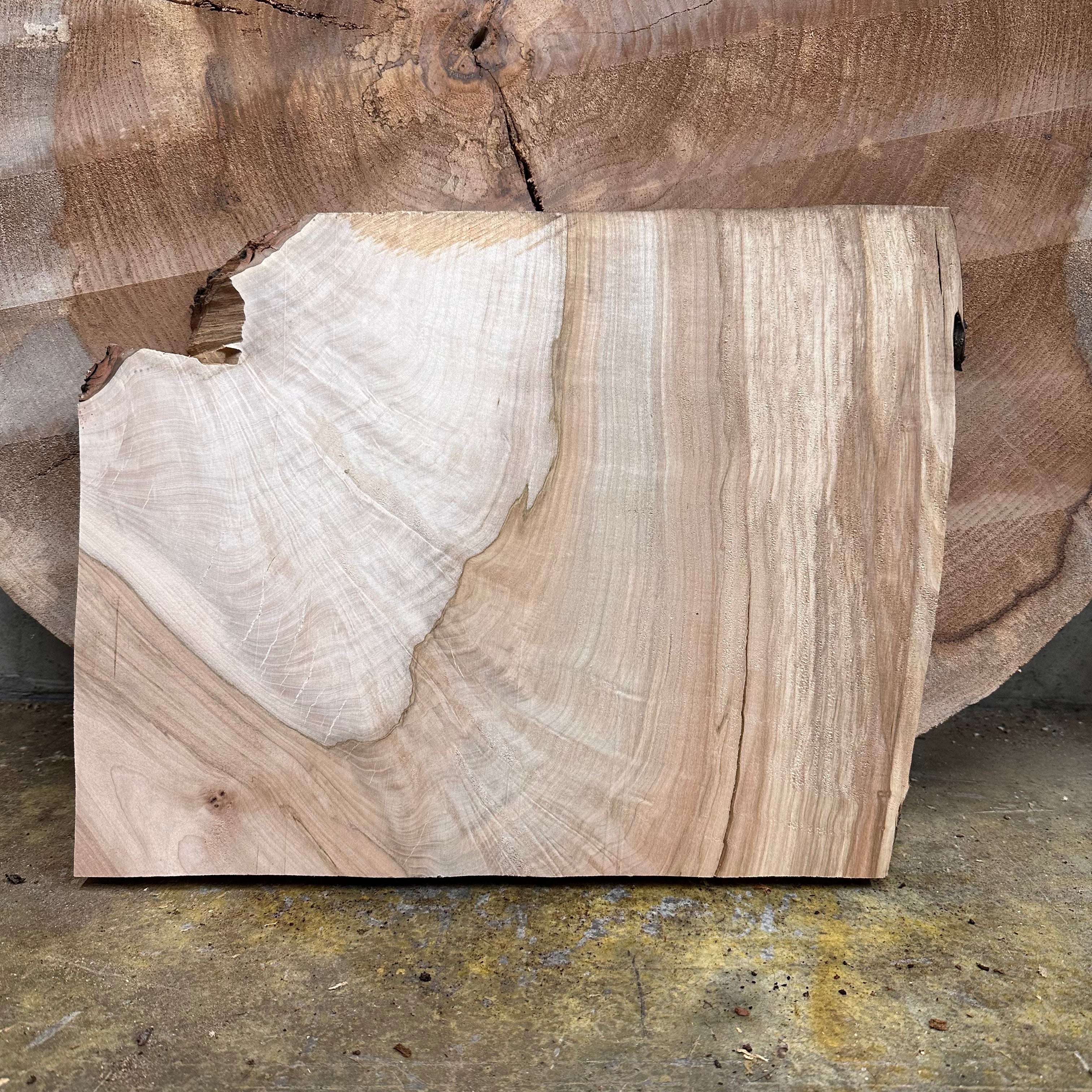 LiveEdge Silver Maple | Silver Maple | Hamilton Lee Supply