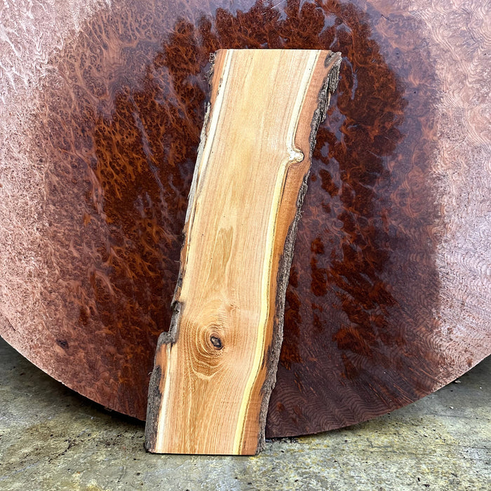 Double Diamond | LiveEdge Black Locust | | Hamilton Lee Supply