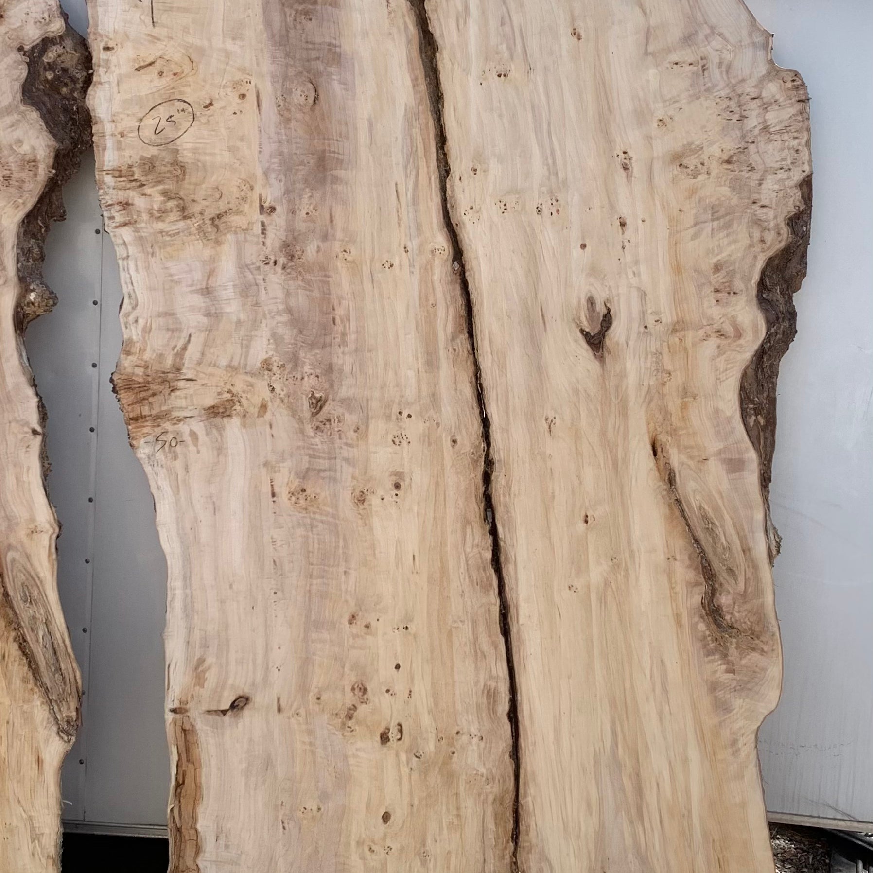LiveEdge Mappa Burl | Mappa Burl | Hamilton Lee Supply
