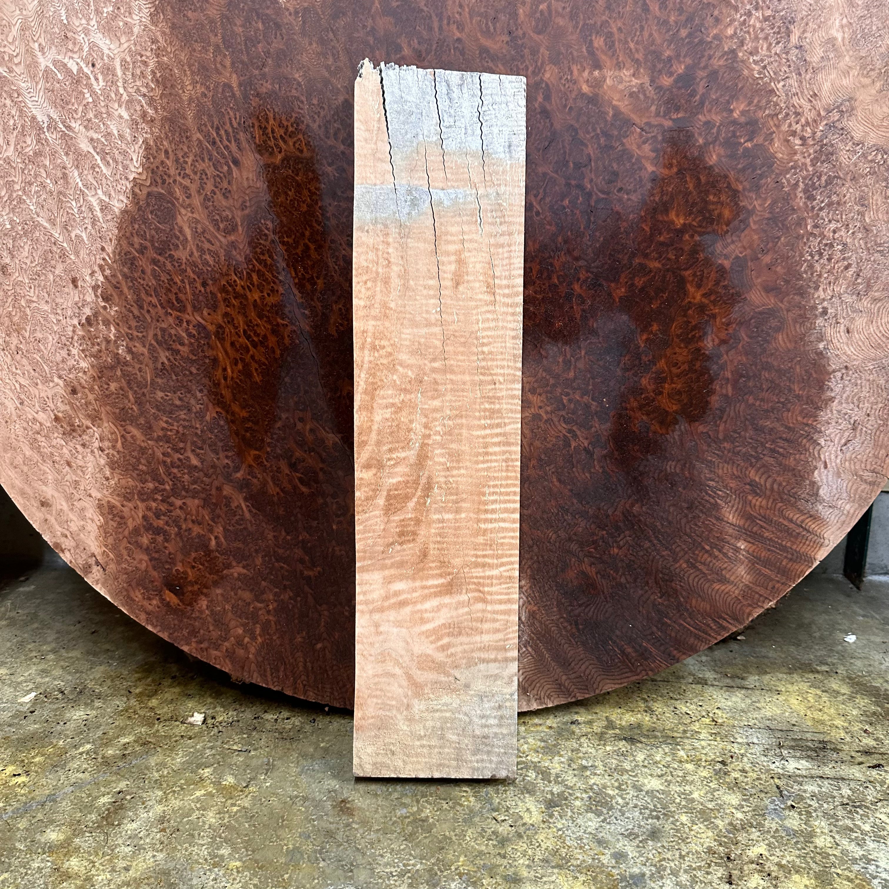 LiveEdge Curly Big Leaf Maple | | Hamilton Lee Supply