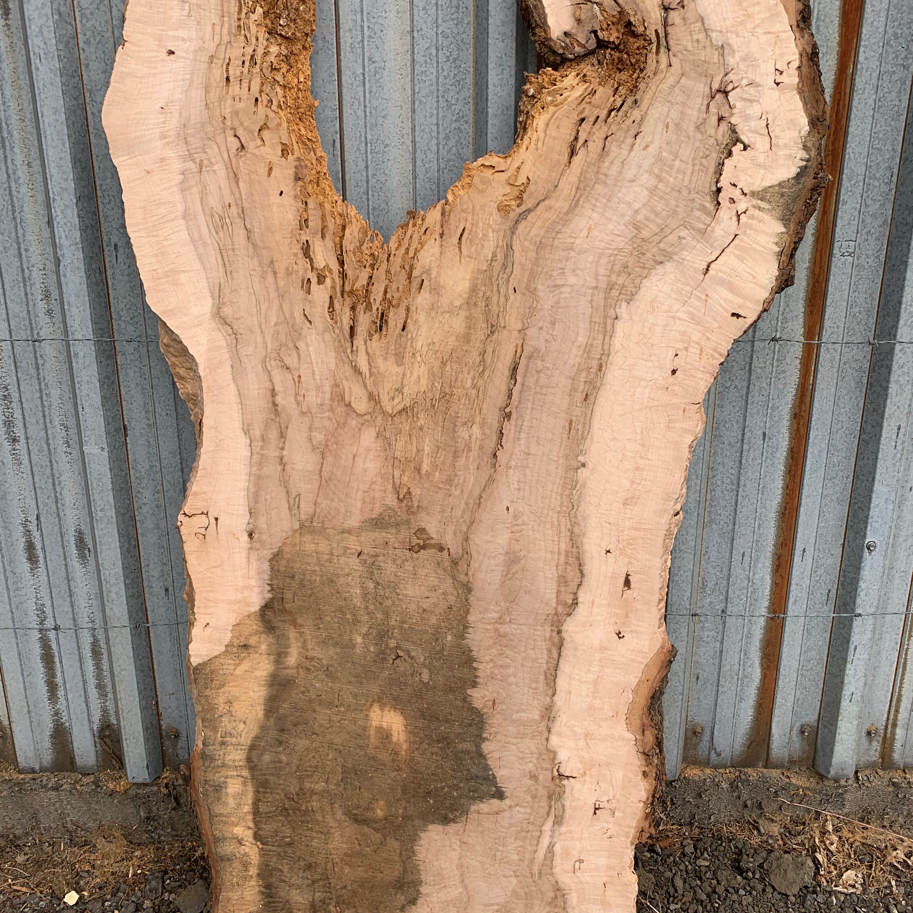 LiveEdge Norway Maple | Norway Maple | Hamilton Lee Supply