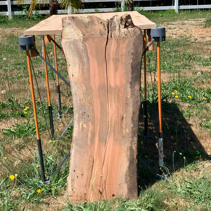 LiveEdge Washington Apple