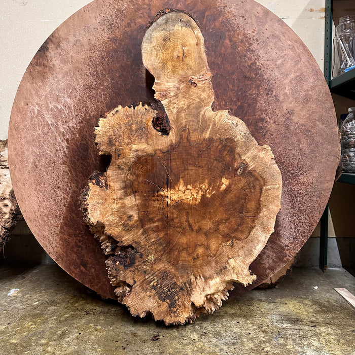 LiveEdge Premium Silver Maple Burl